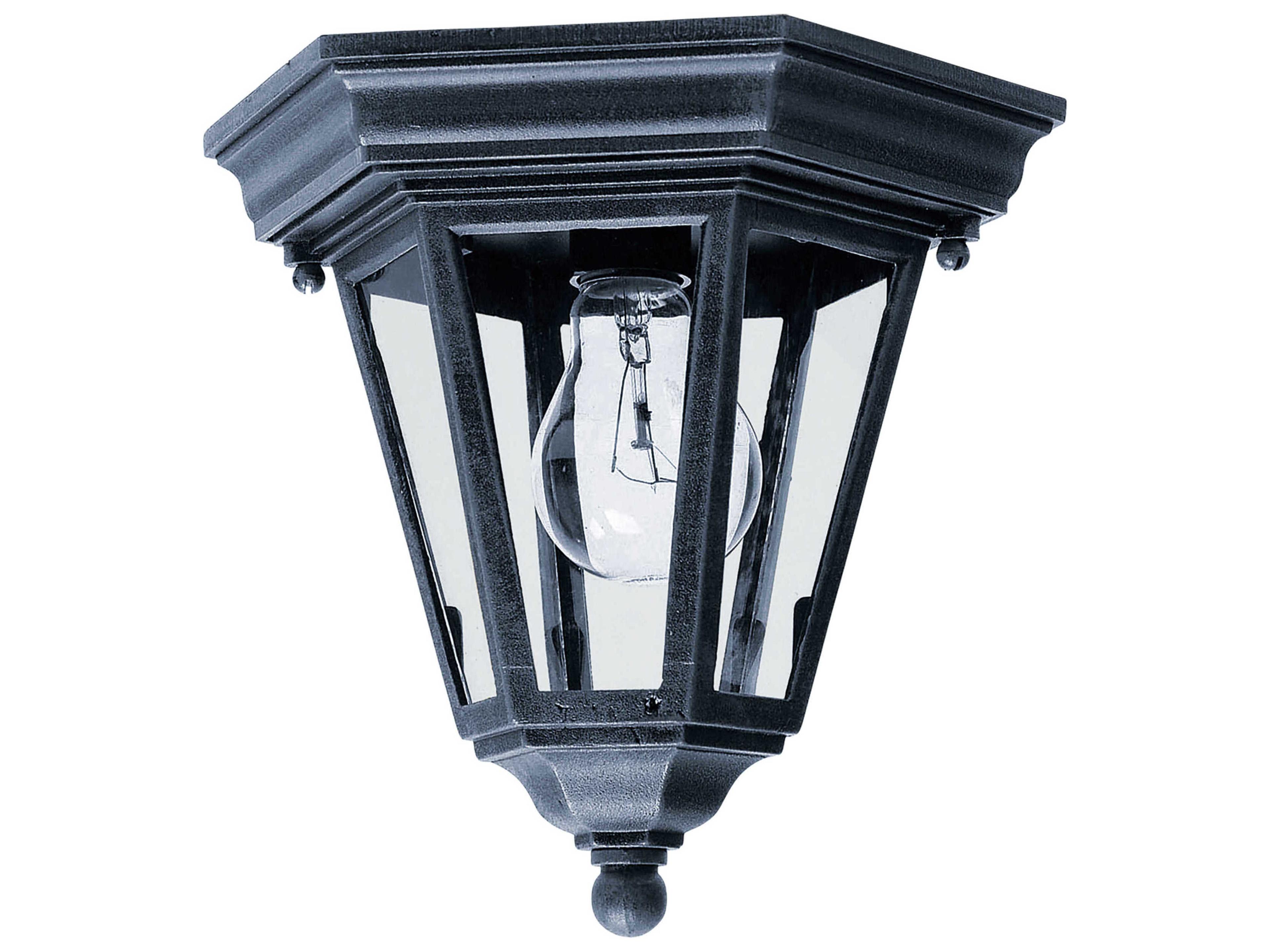 Westlake Black & Clear Glass Incandescent Outdoor Ceiling Light