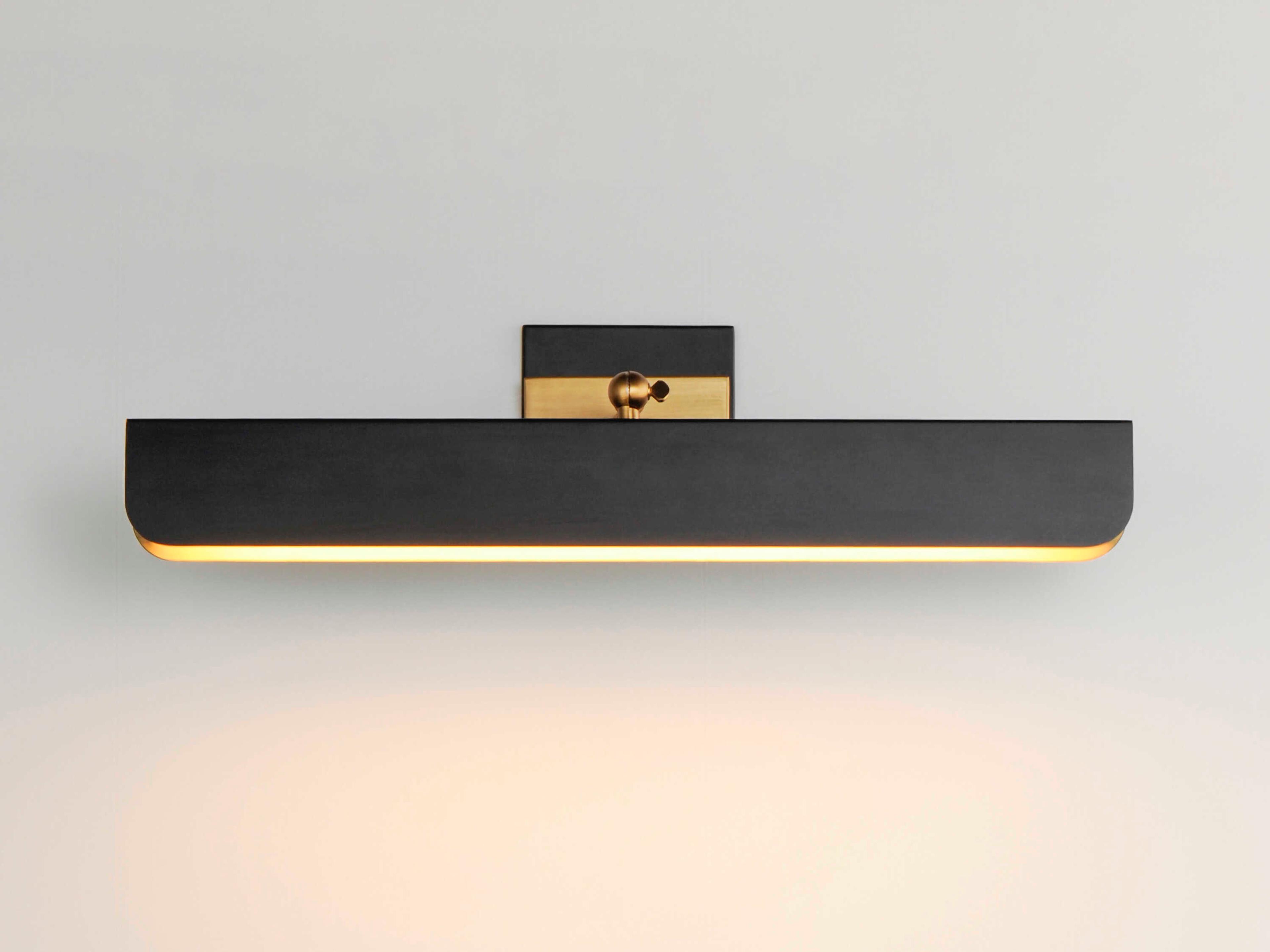 Maxim Lighting Miles 1-Light Black Natural Aged Brass Picture Light