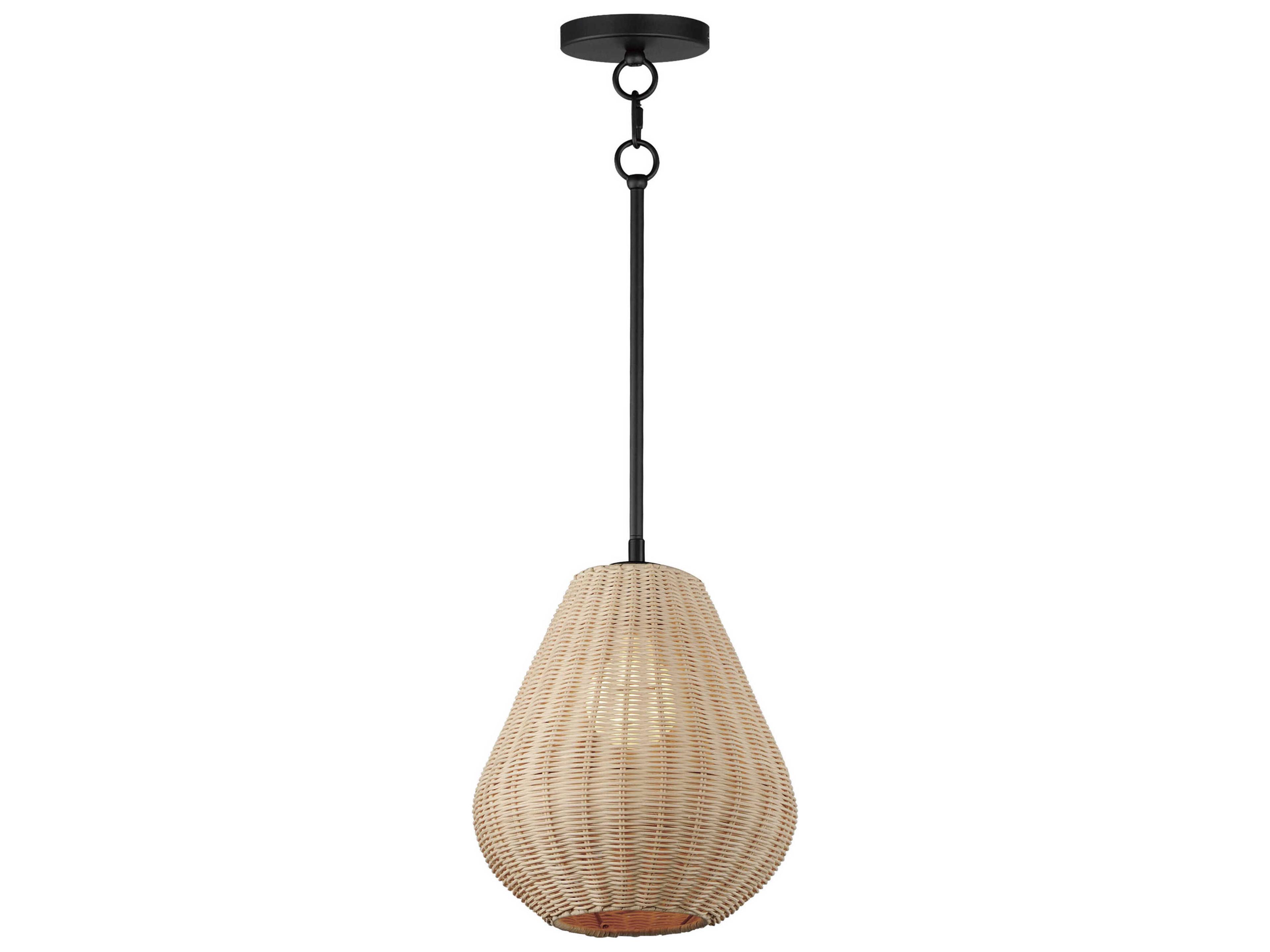 Maldives 1-Light Black Mini Pendant
