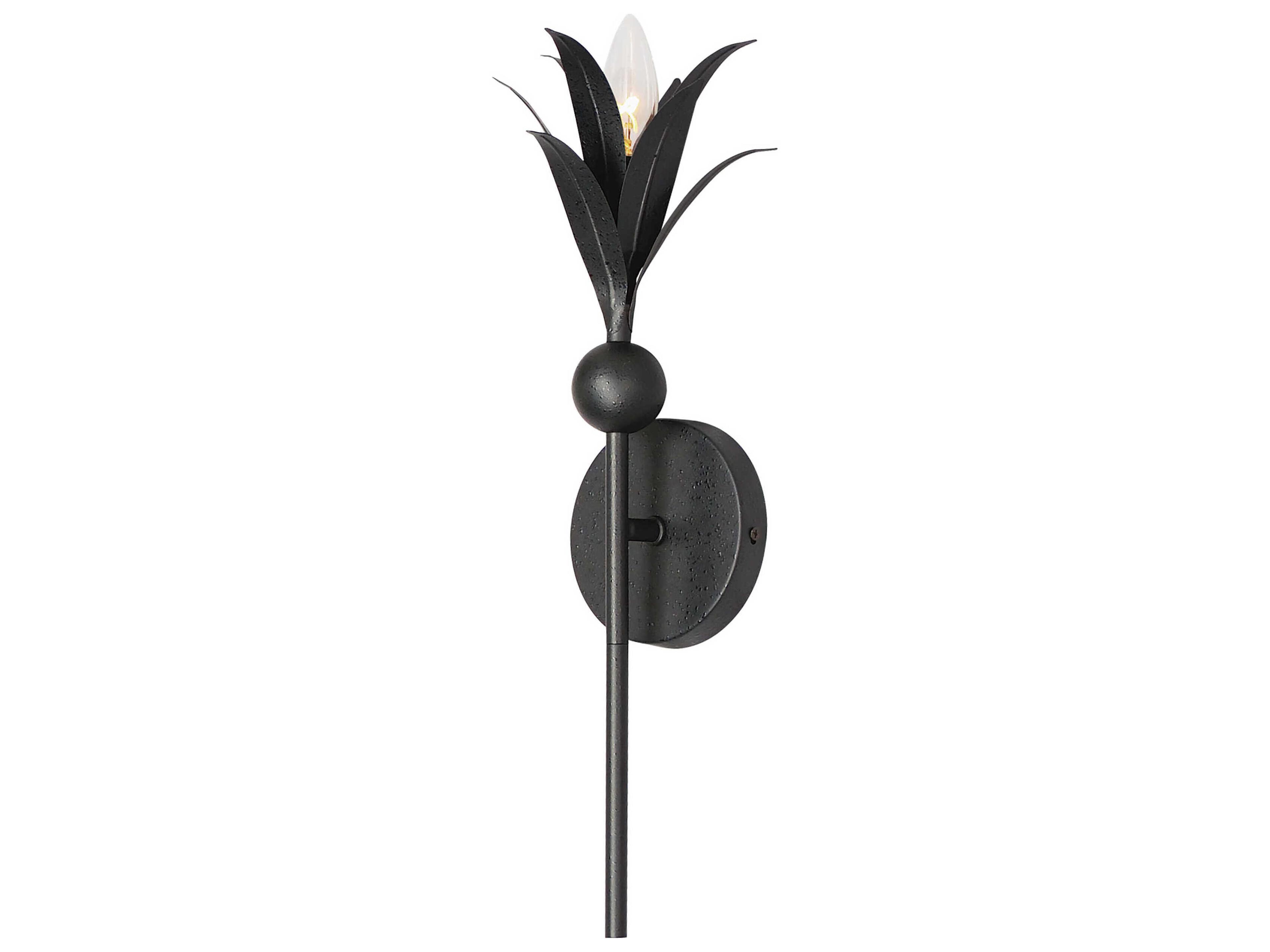 Paloma 1-Light Anthracite Black Wall Sconce