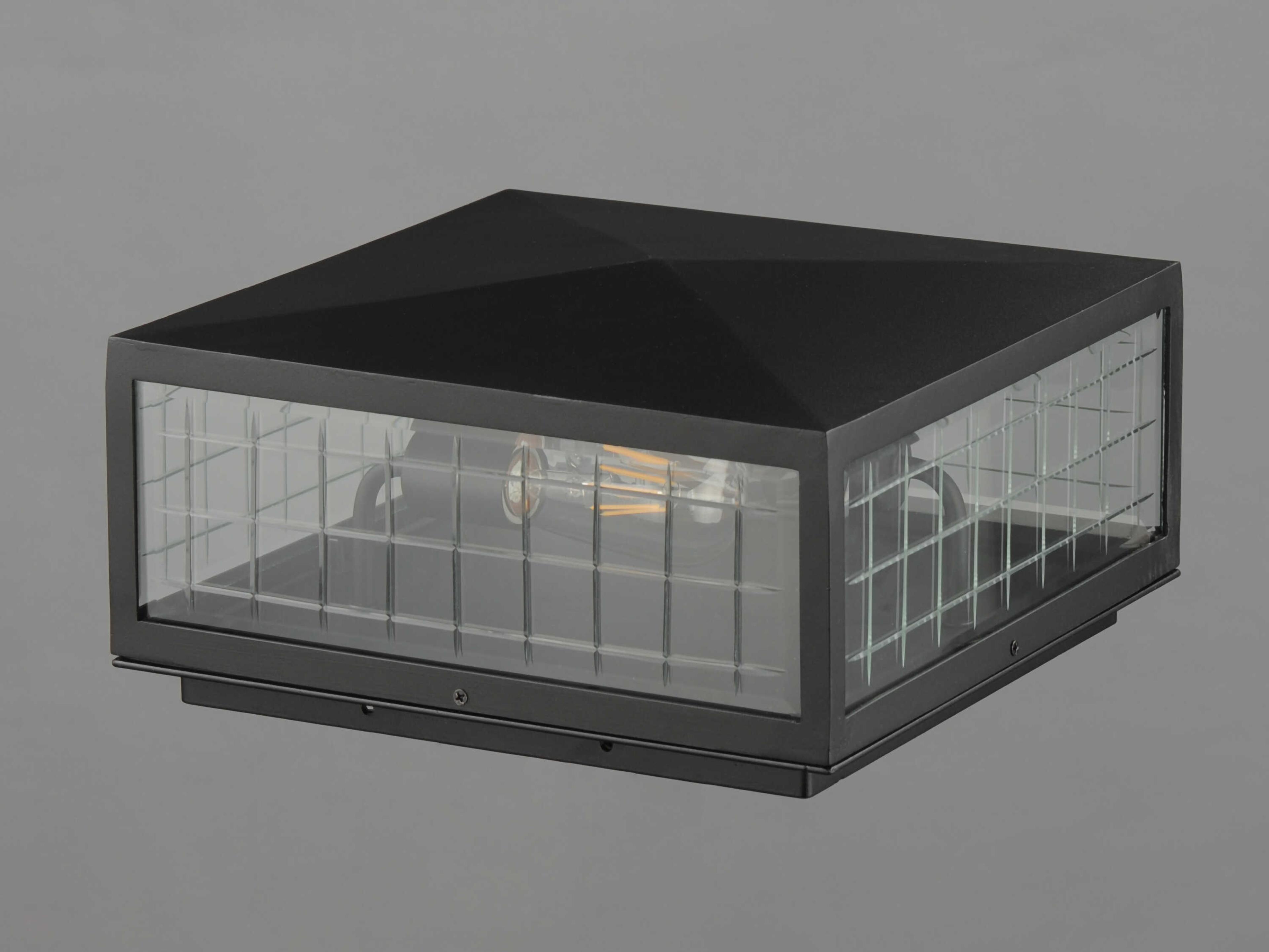 Maxim Lighting Magnus 2-Light Outdoor Ceiling Light