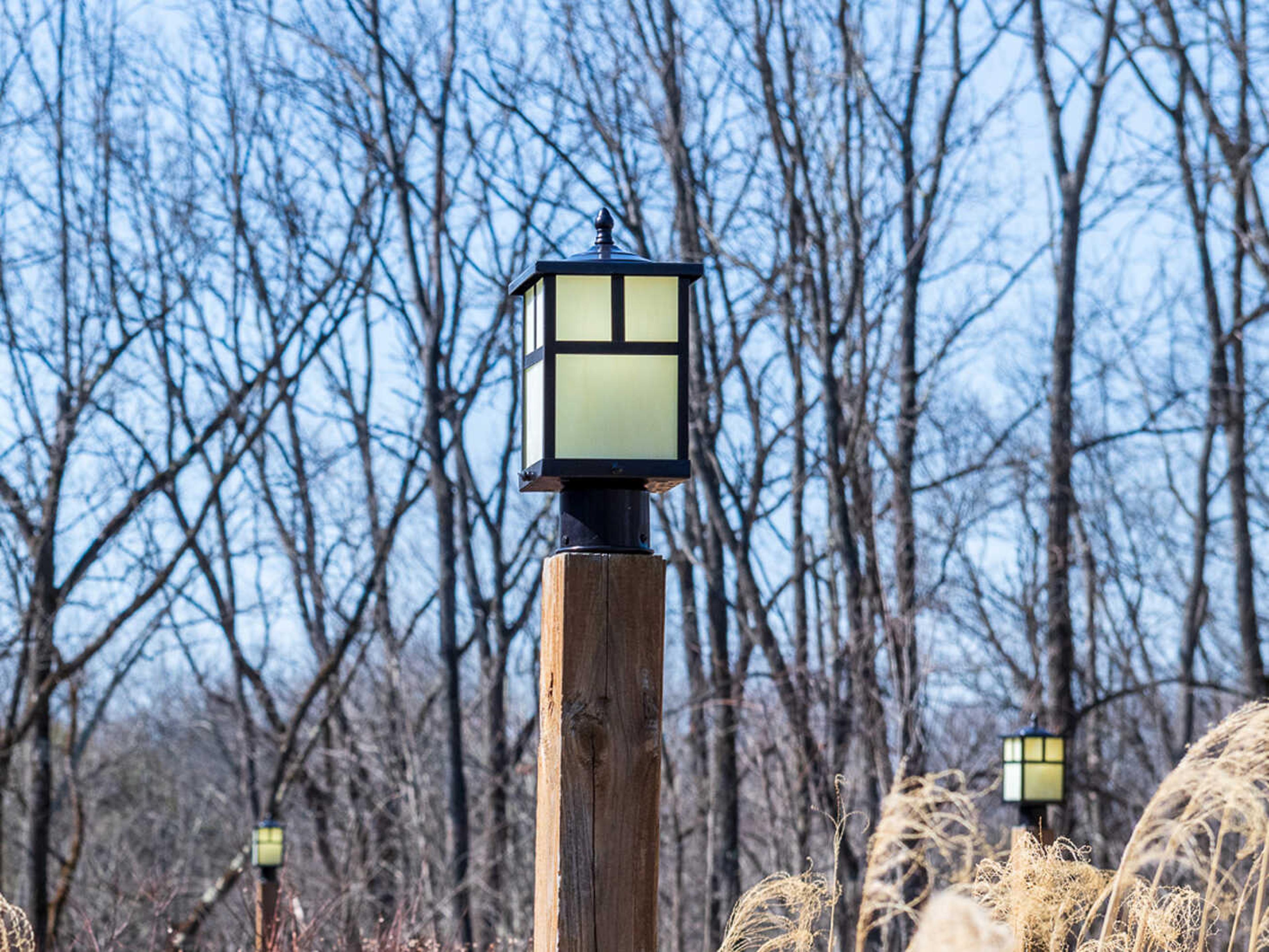 Maxim Lighting Coldwater & Honey Glass Incandescent Outdoor Post Light