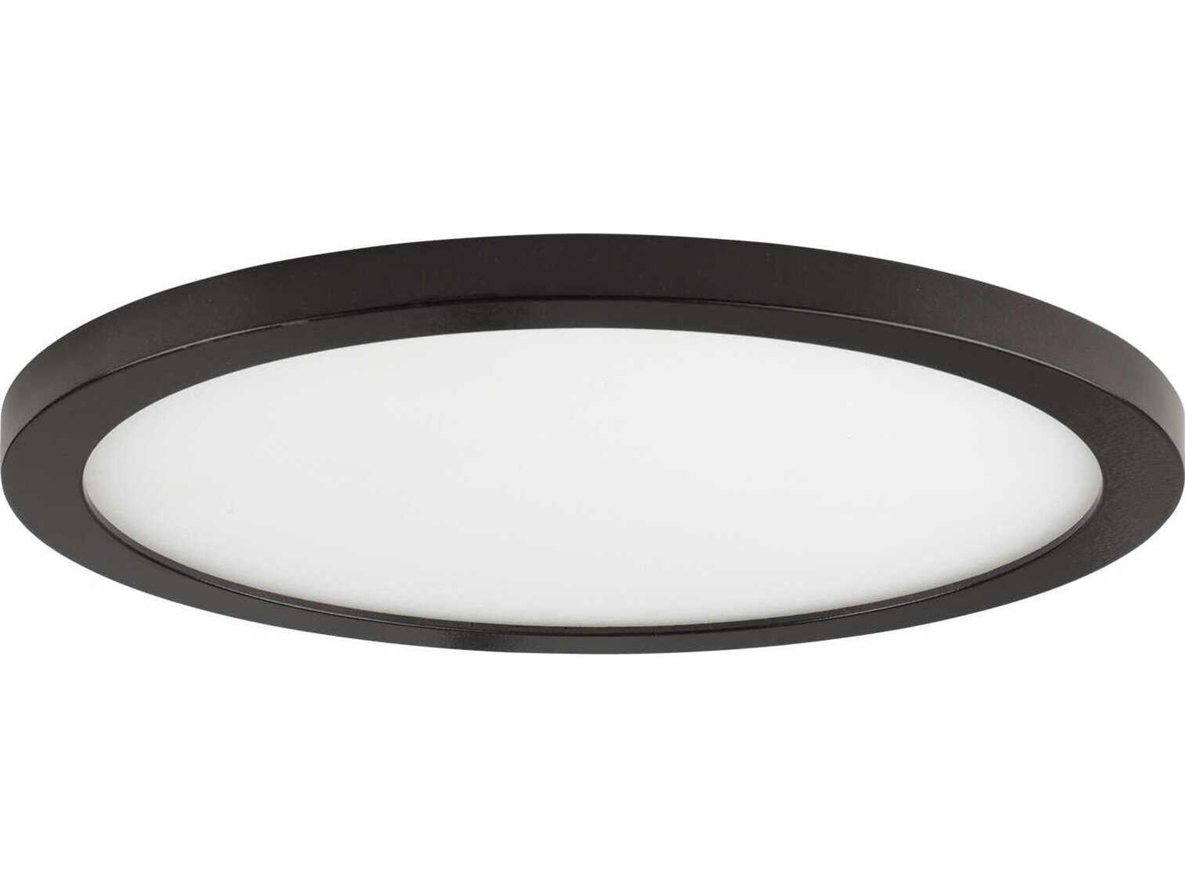 Wafer Outdoor Ceiling Light