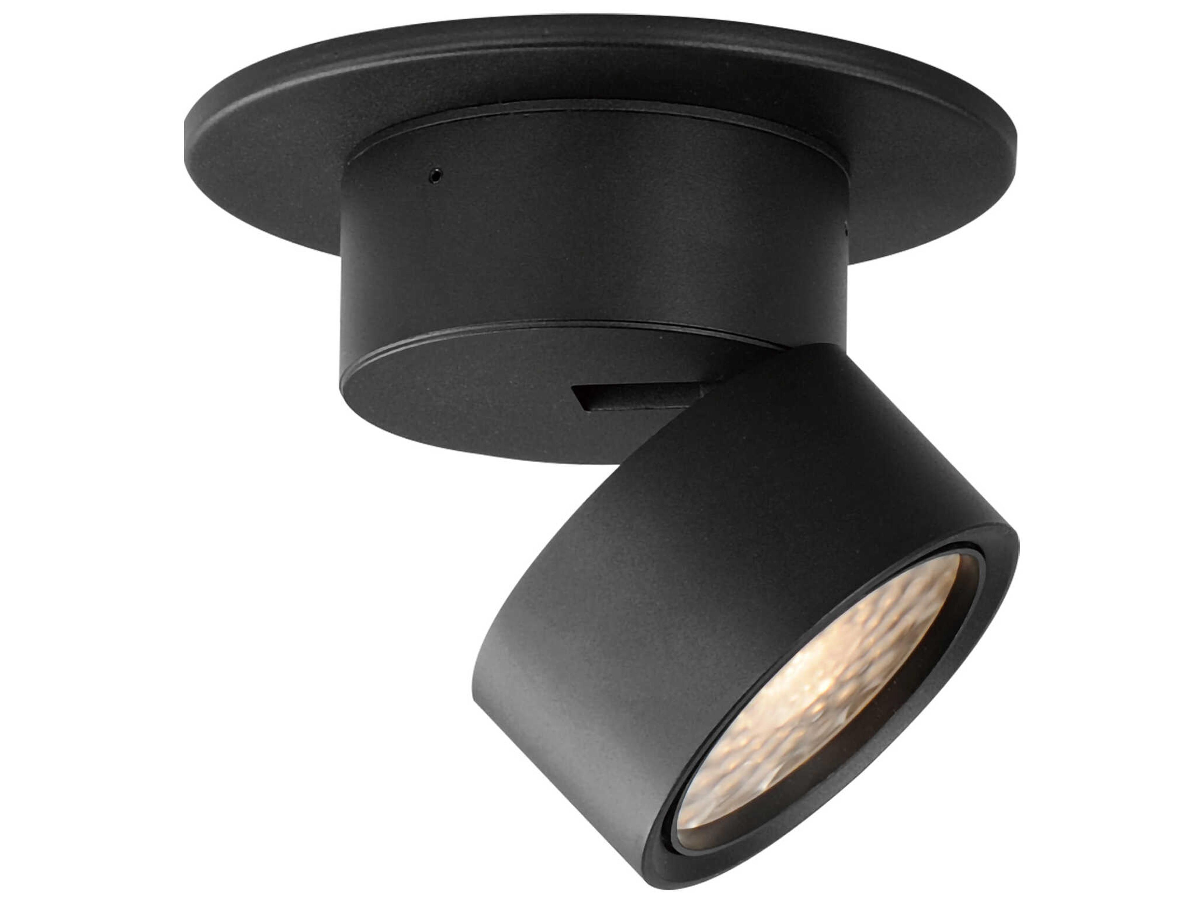 Swinger 1-Light Black Flush Mount