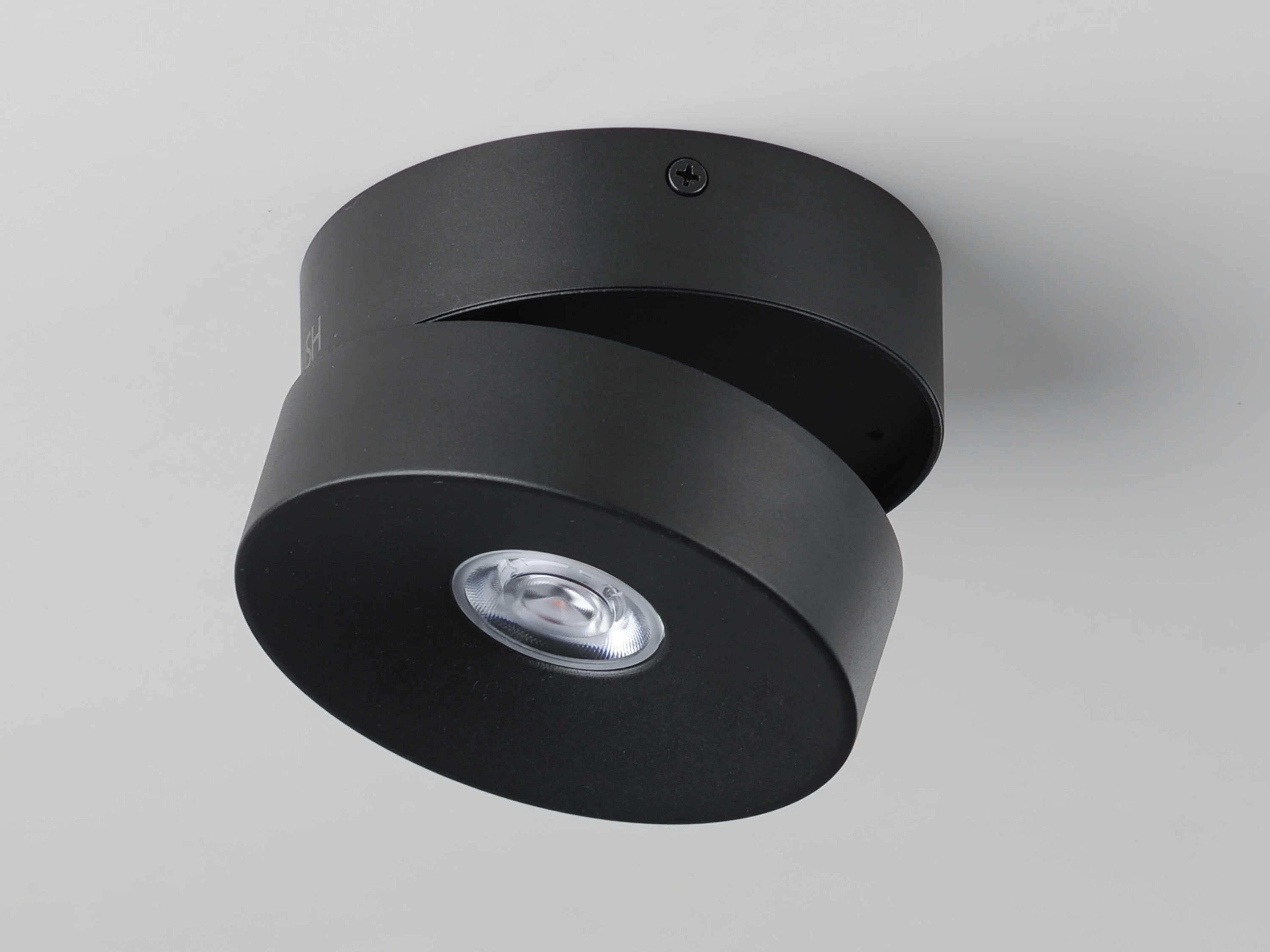 Maxim Lighting Swinger 1-Light Outdoor Ceiling Light