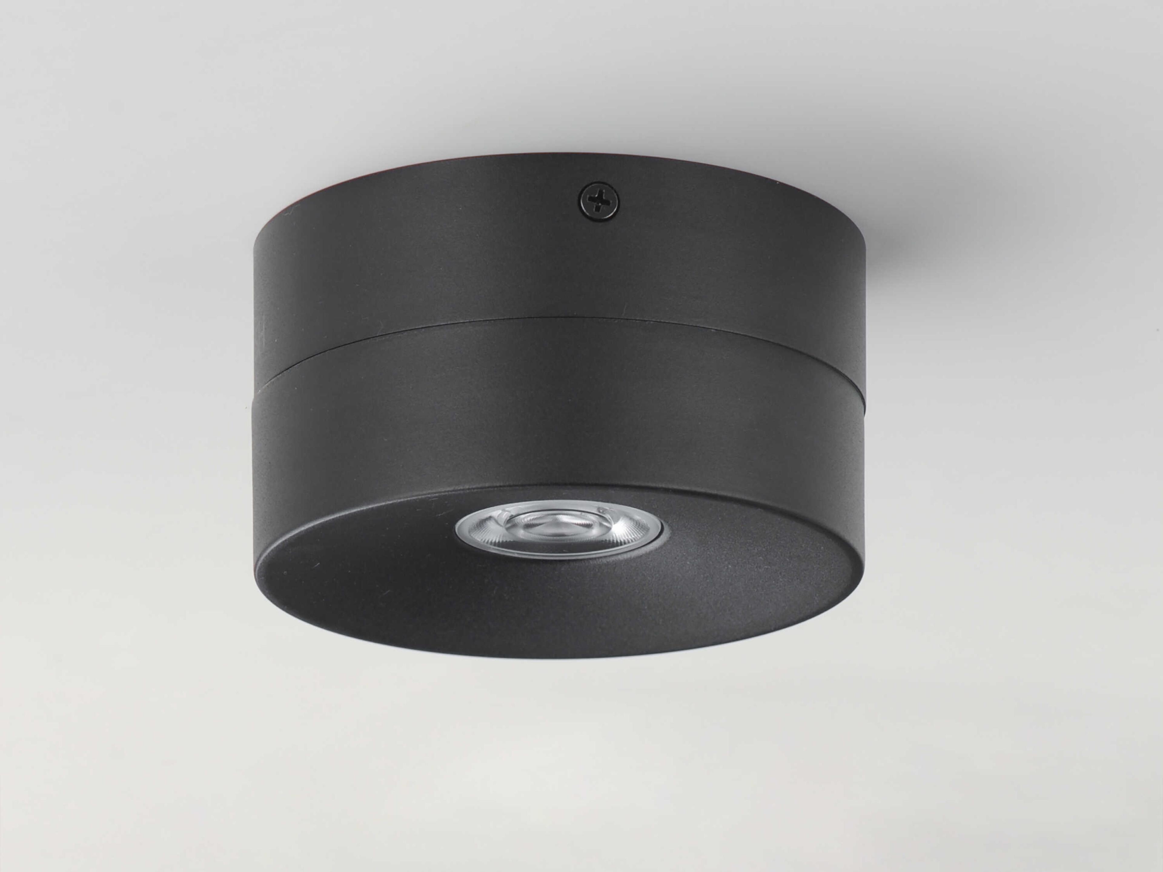 Maxim Lighting Swinger 1-Light Outdoor Ceiling Light