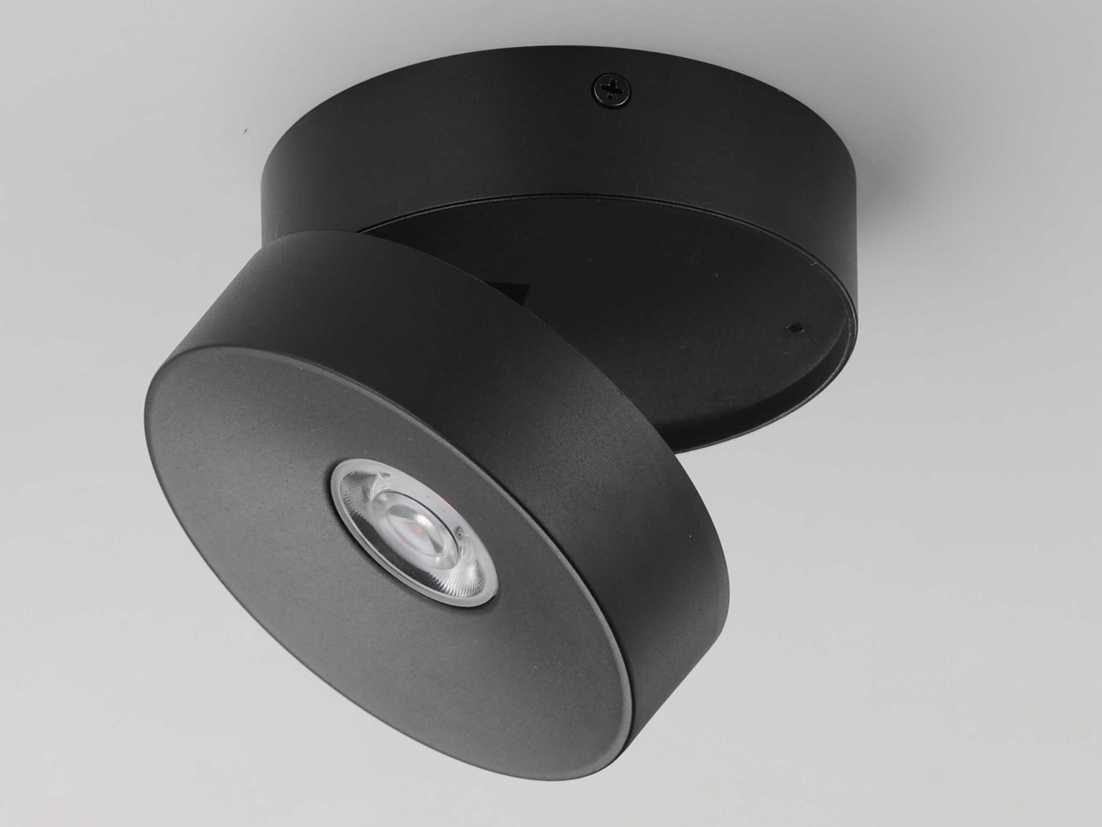 Maxim Lighting Swinger 1-Light Outdoor Ceiling Light