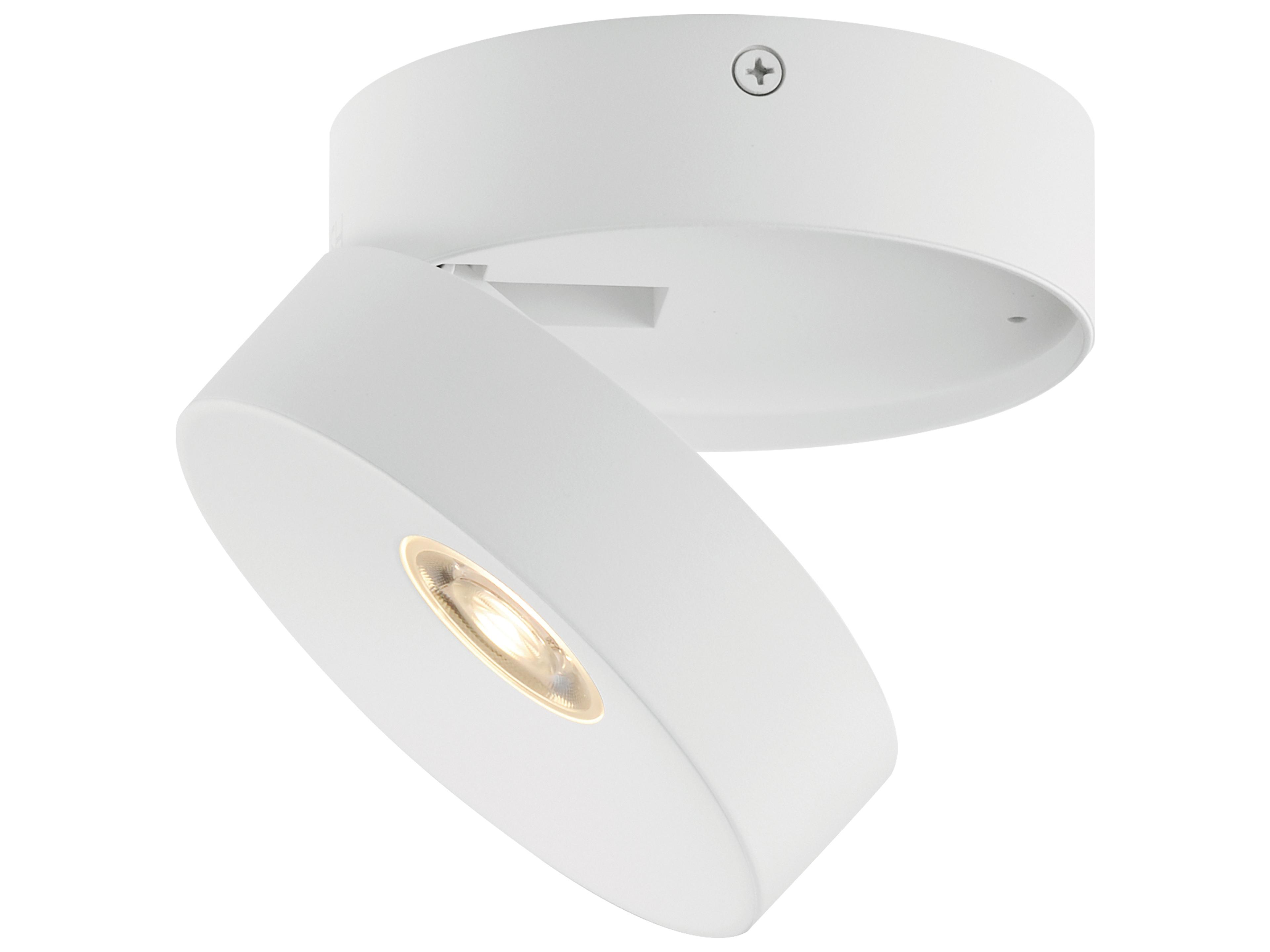 Swinger 1-Light Outdoor Ceiling Light