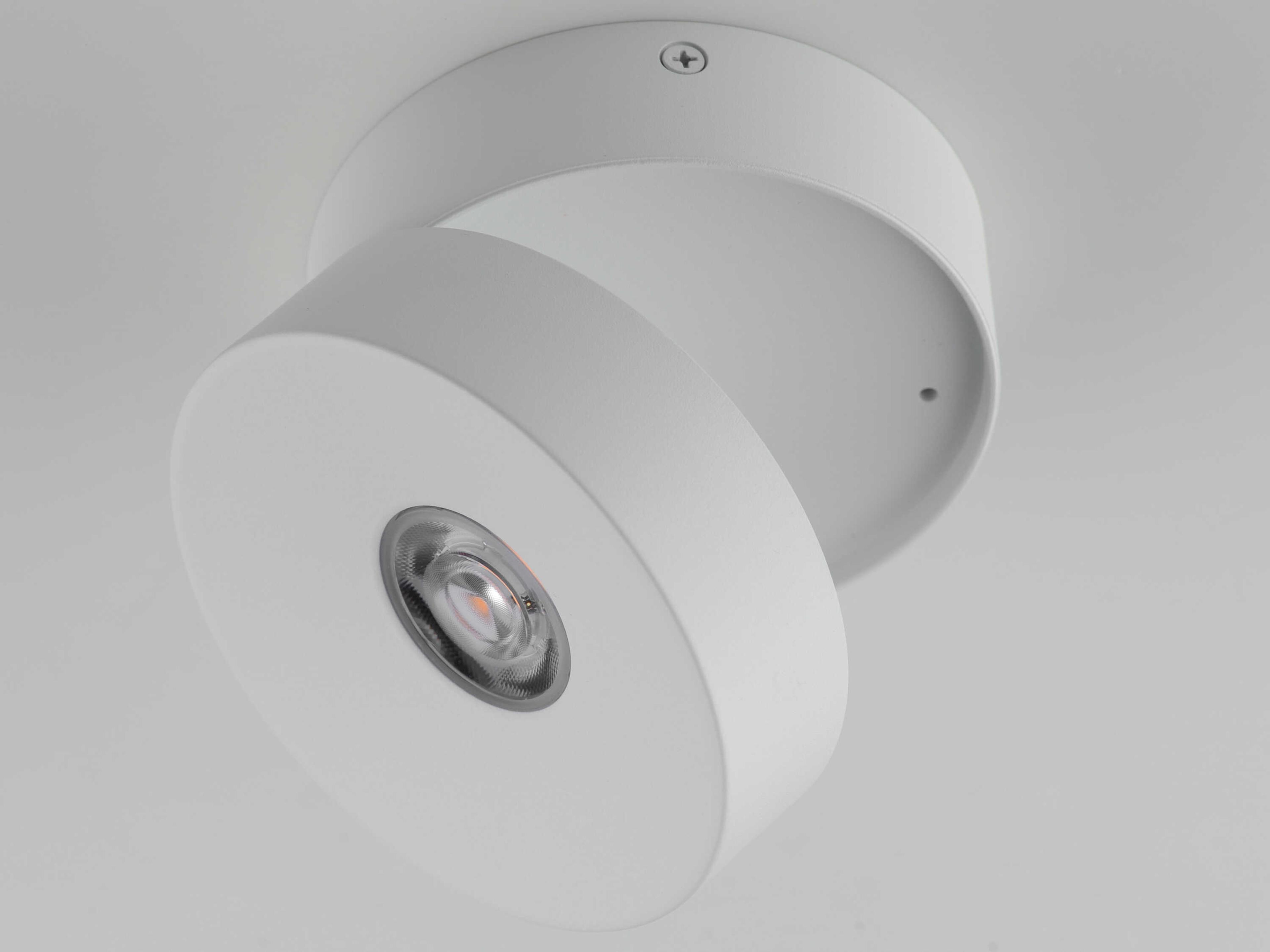 Maxim Lighting Swinger 1-Light Outdoor Ceiling Light