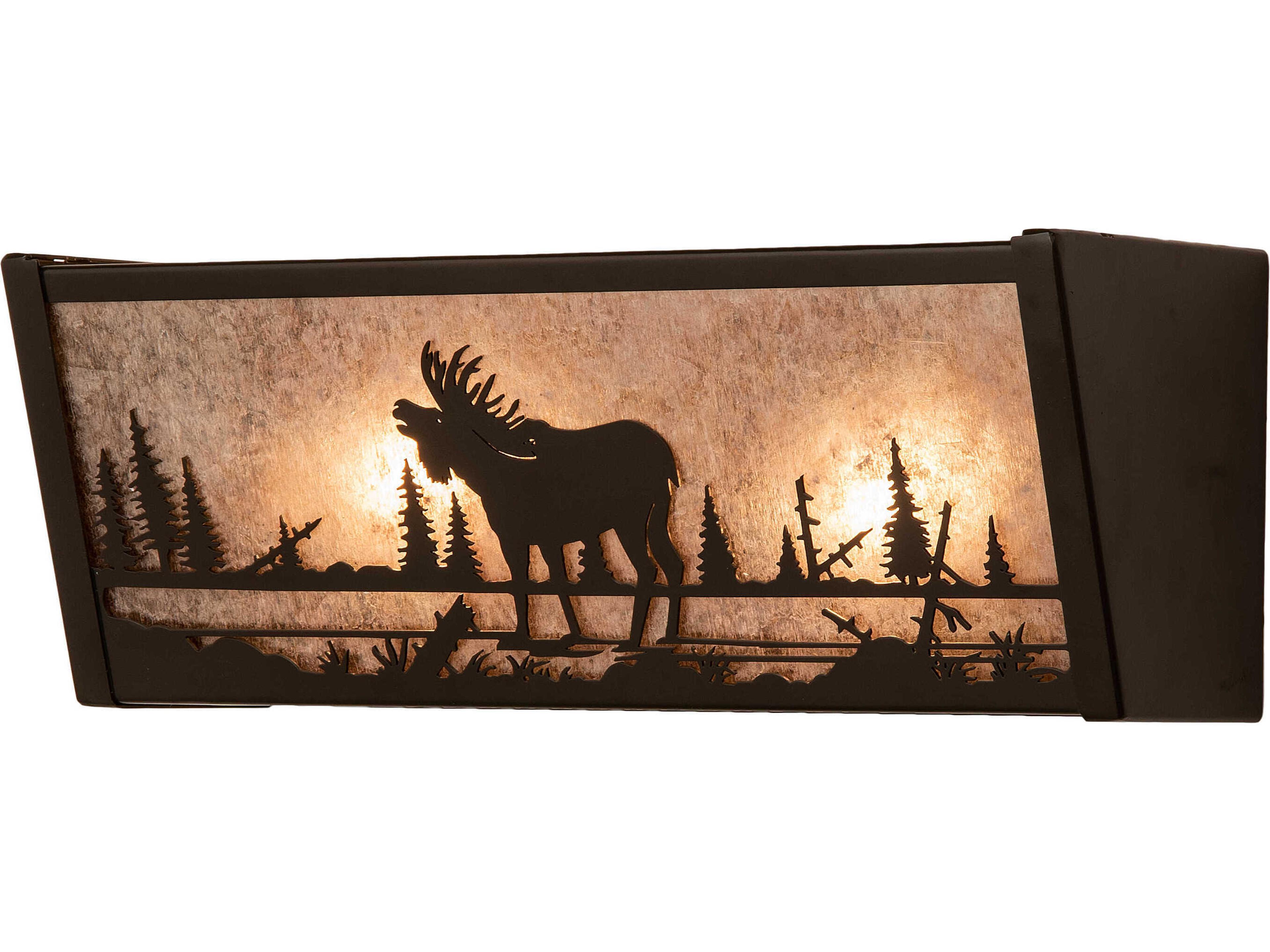 Meyda 2-Light Bronze Glass Vanity Light