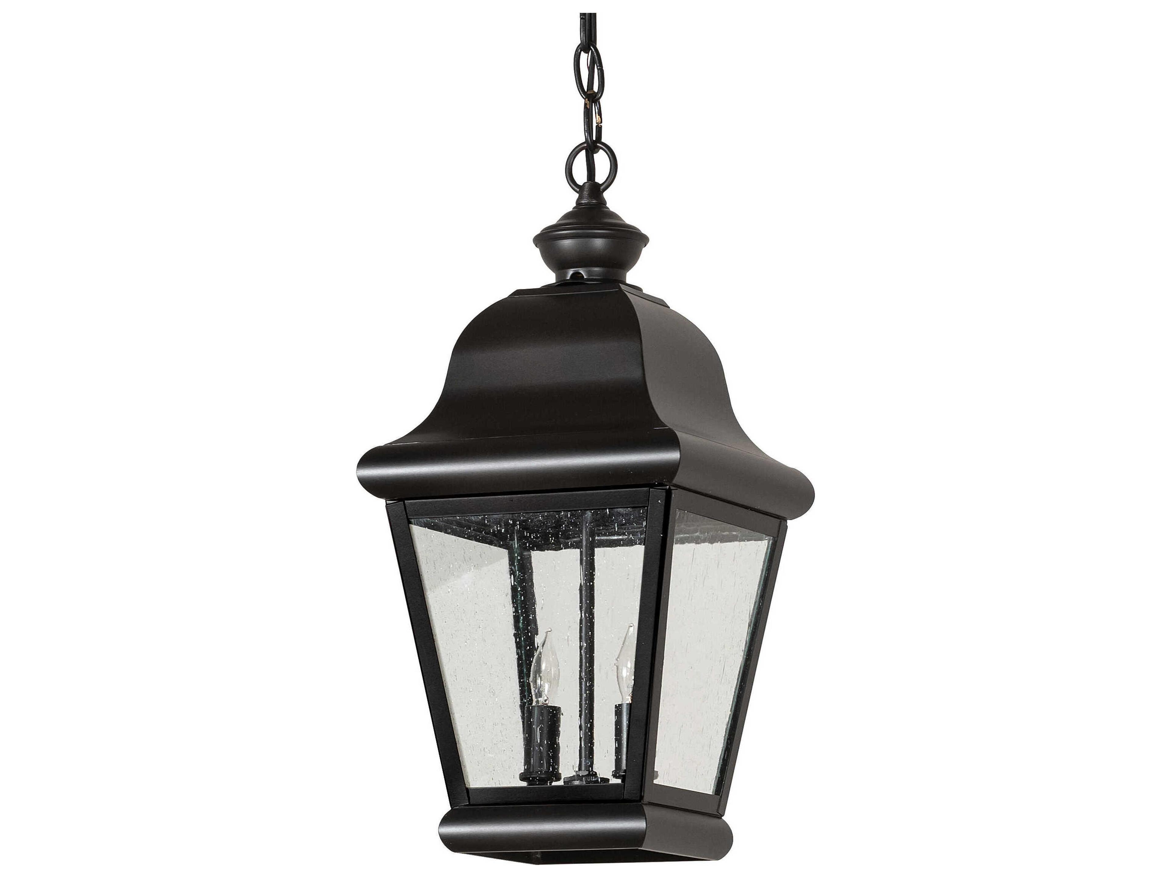 Meyda Palmer Outdoor Hanging Light