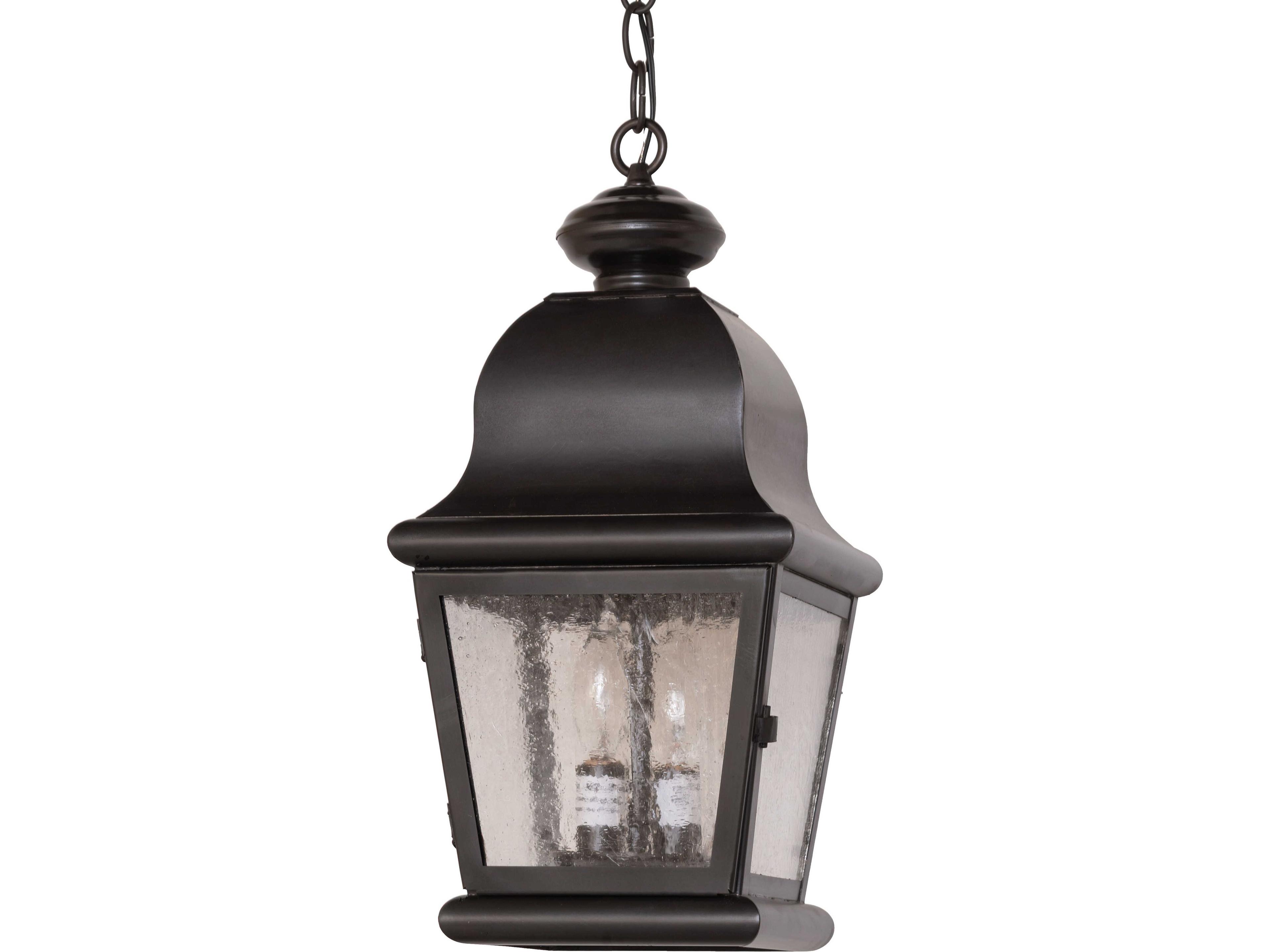 Meyda Lapalma 2-Light Clear Seeded Glass Bronze Traditional Lantern Mini Pendant