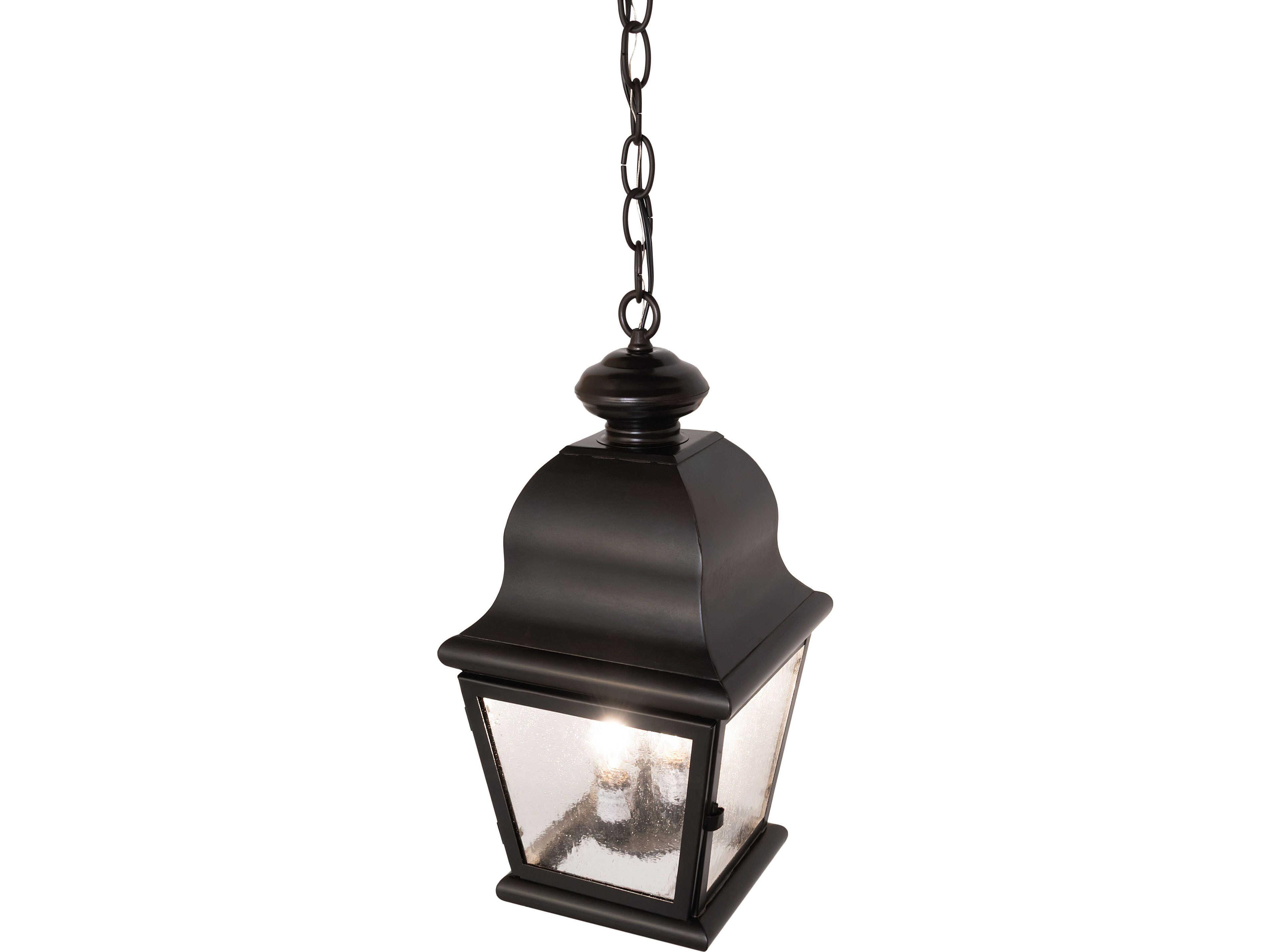 Meyda Lapalma 2-Light Clear Seeded Glass Bronze Traditional Lantern Mini Pendant