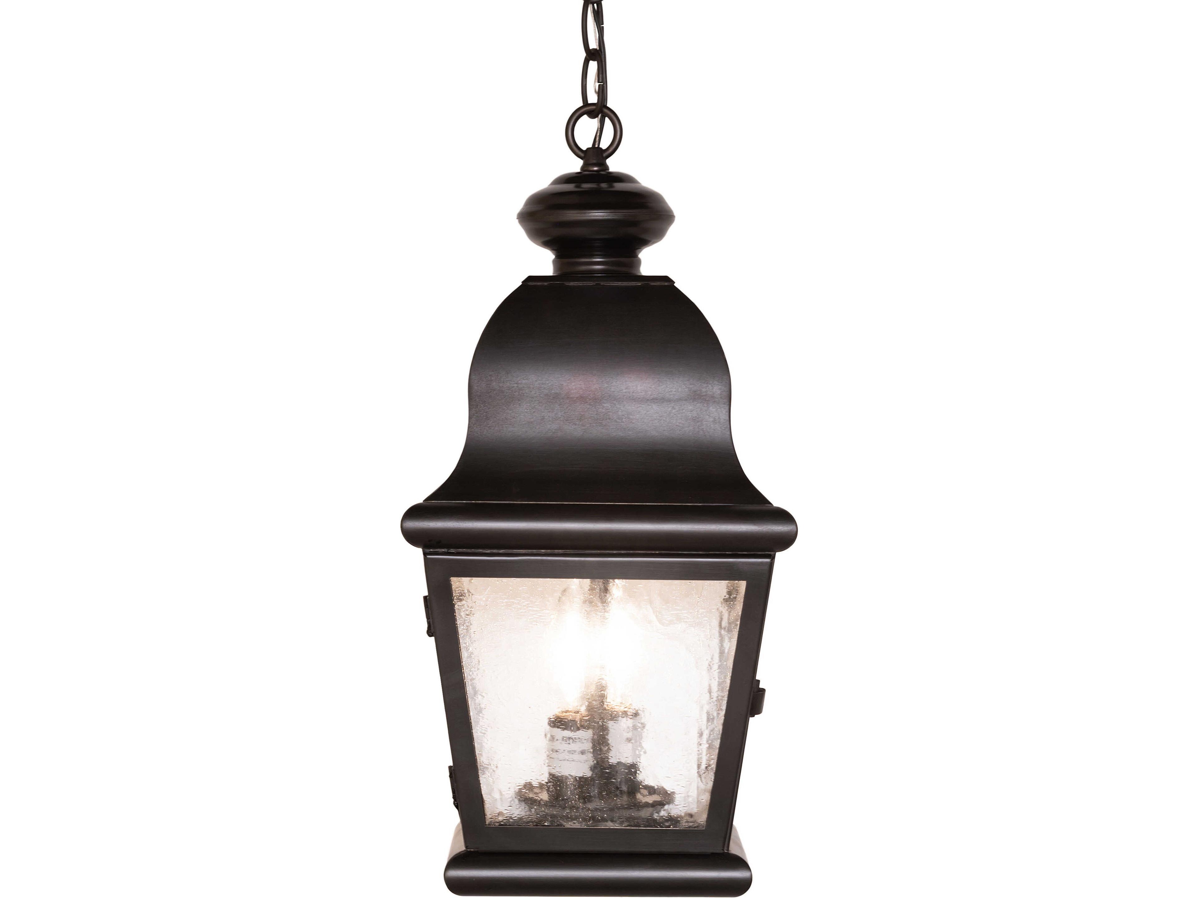 Meyda Lapalma 2-Light Clear Seeded Glass Bronze Traditional Lantern Mini Pendant