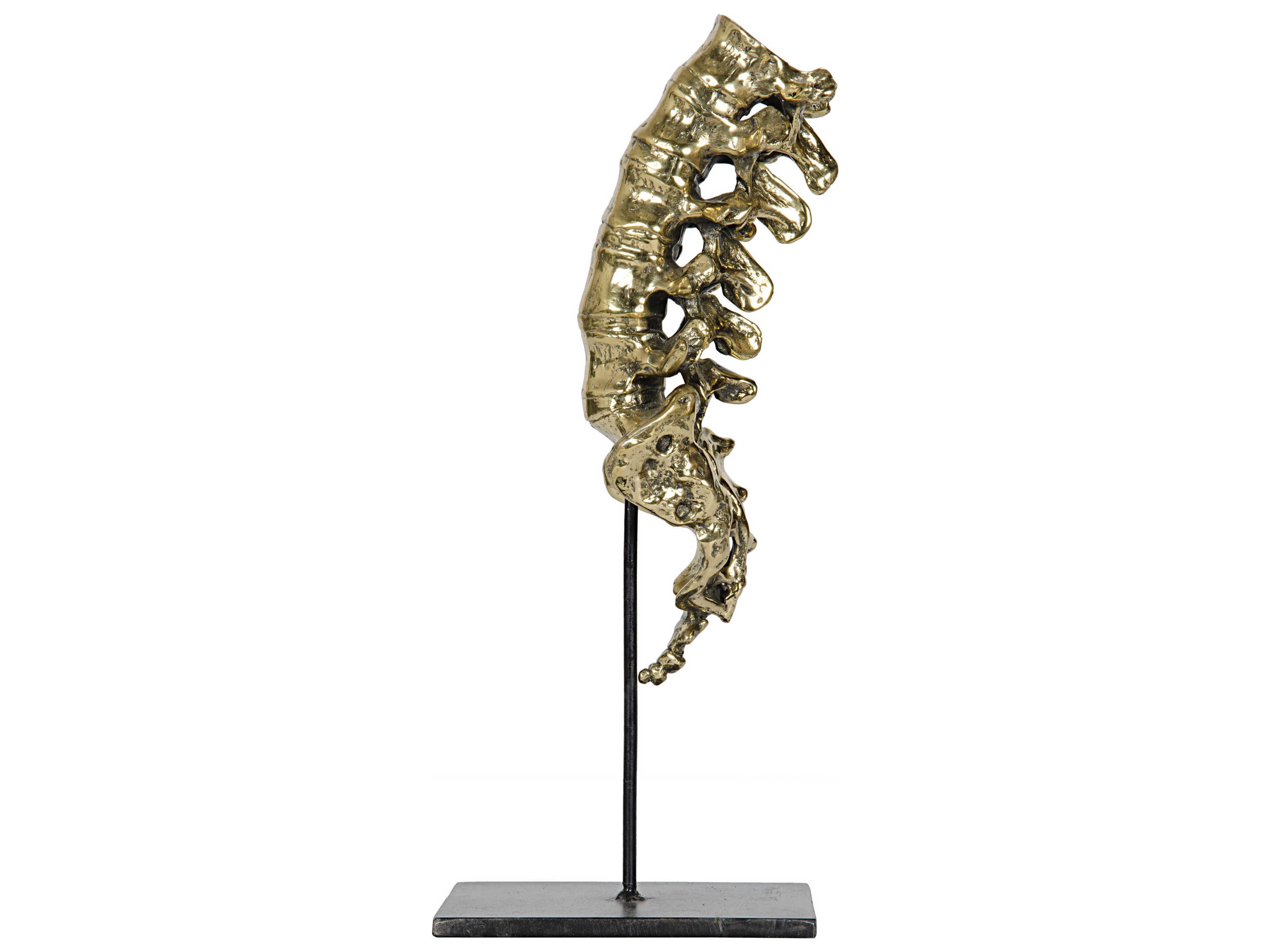 Noir Brass & Metal Vertebrae Sculpture