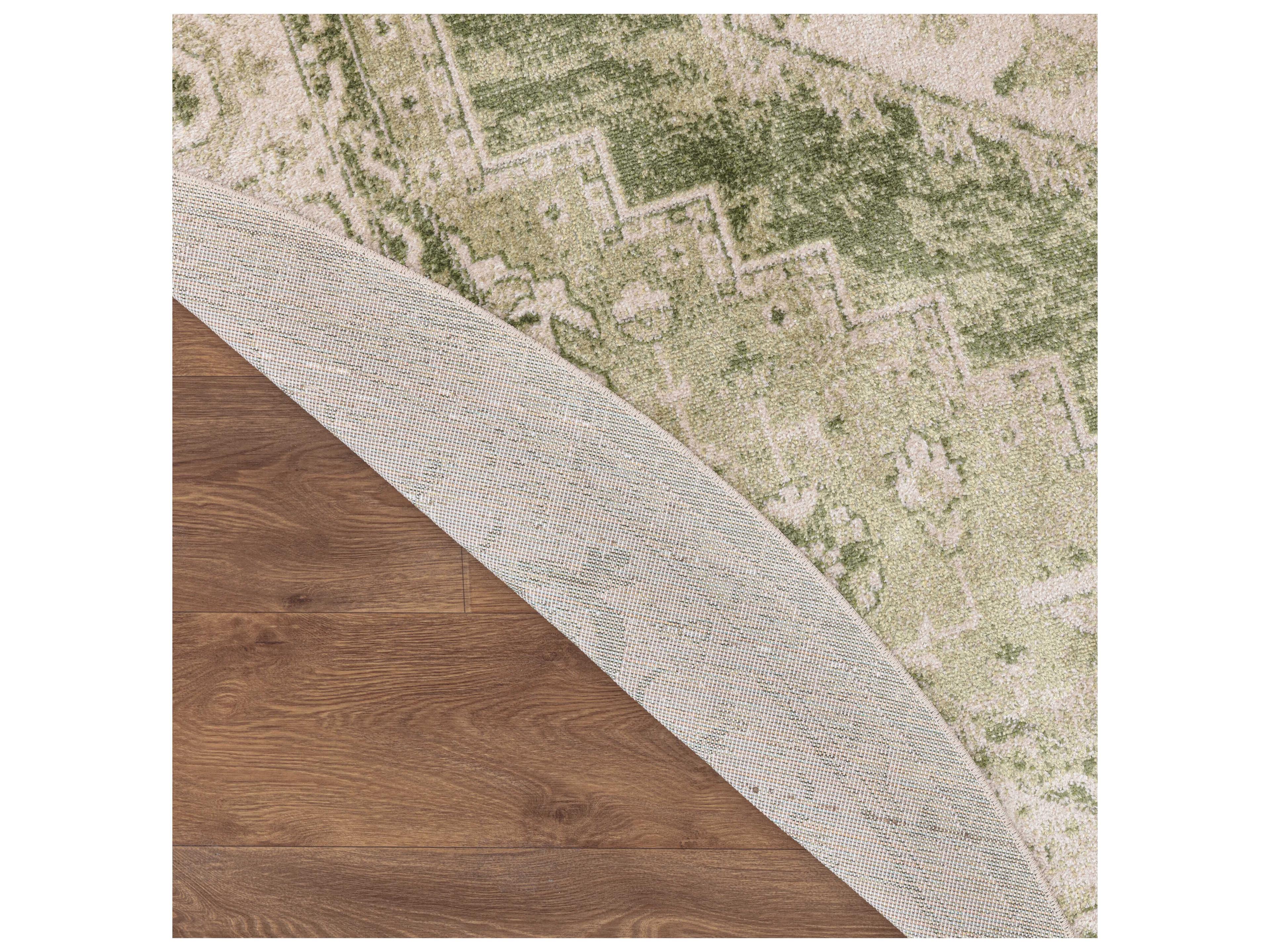 Nourison Astra Machine Washable Bordered Area Rug