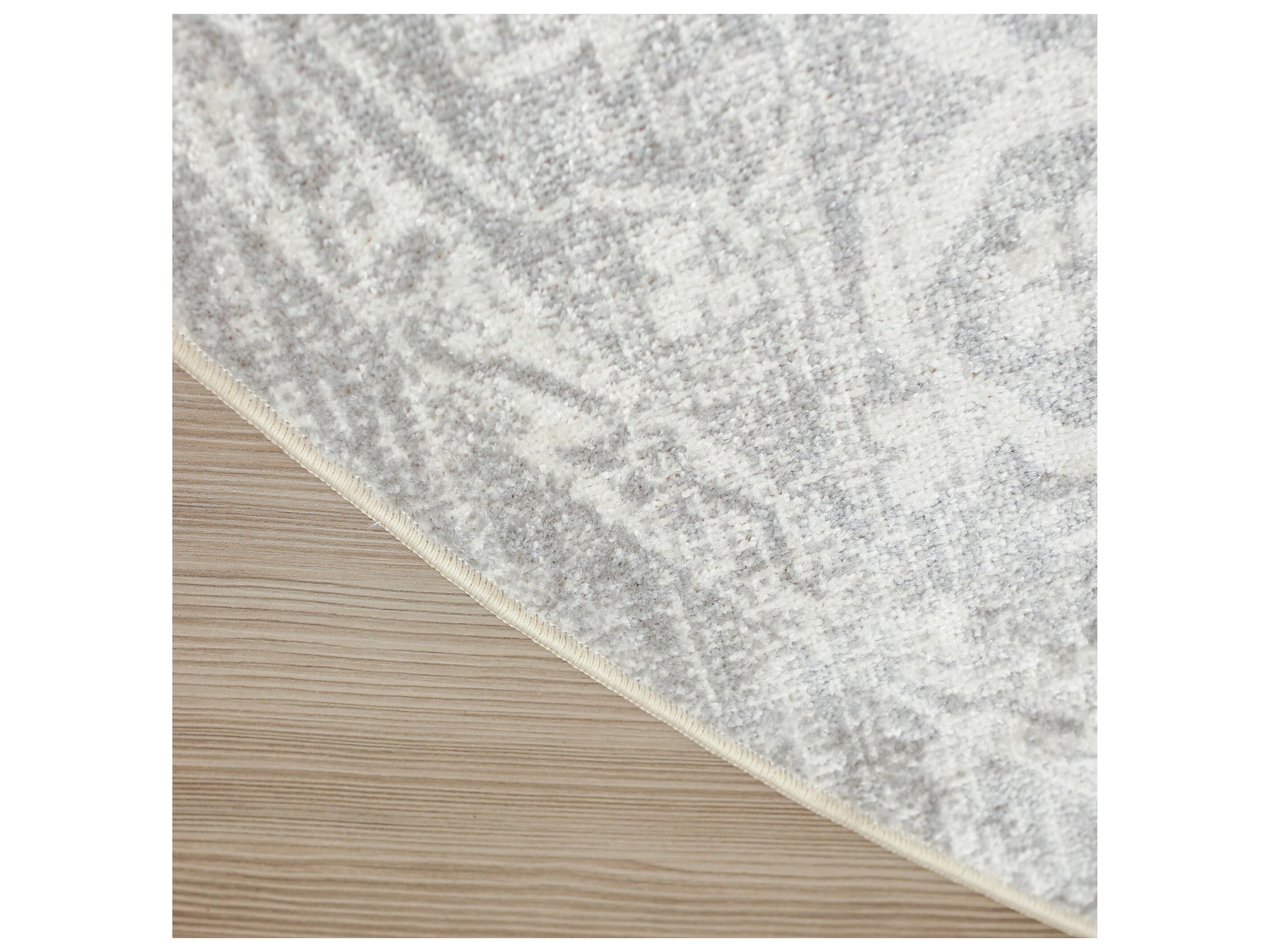Nourison Astra Bordered Area Rug