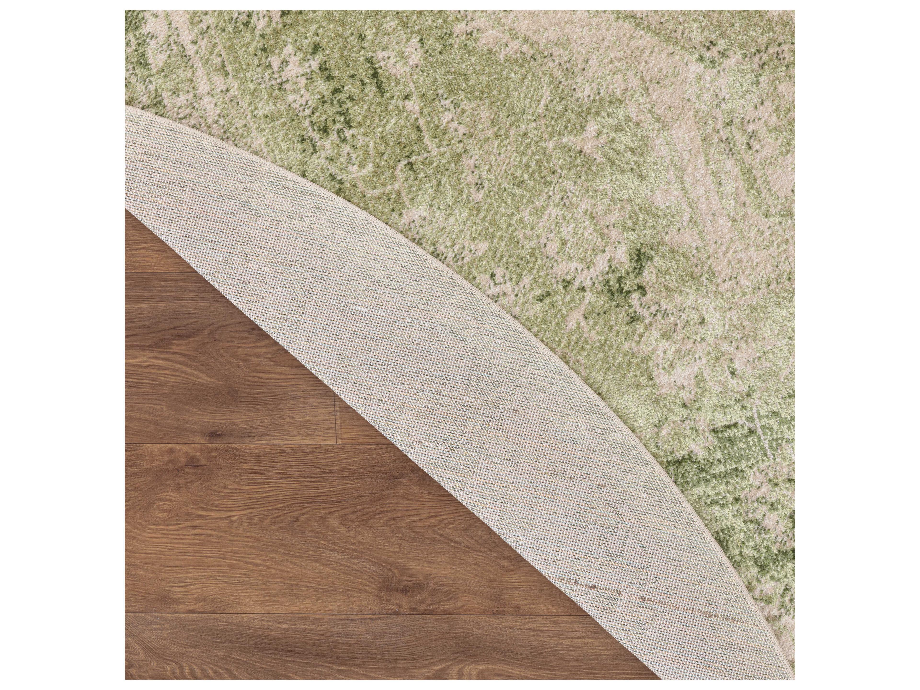 Nourison Astra Machine Washable Bordered Area Rug