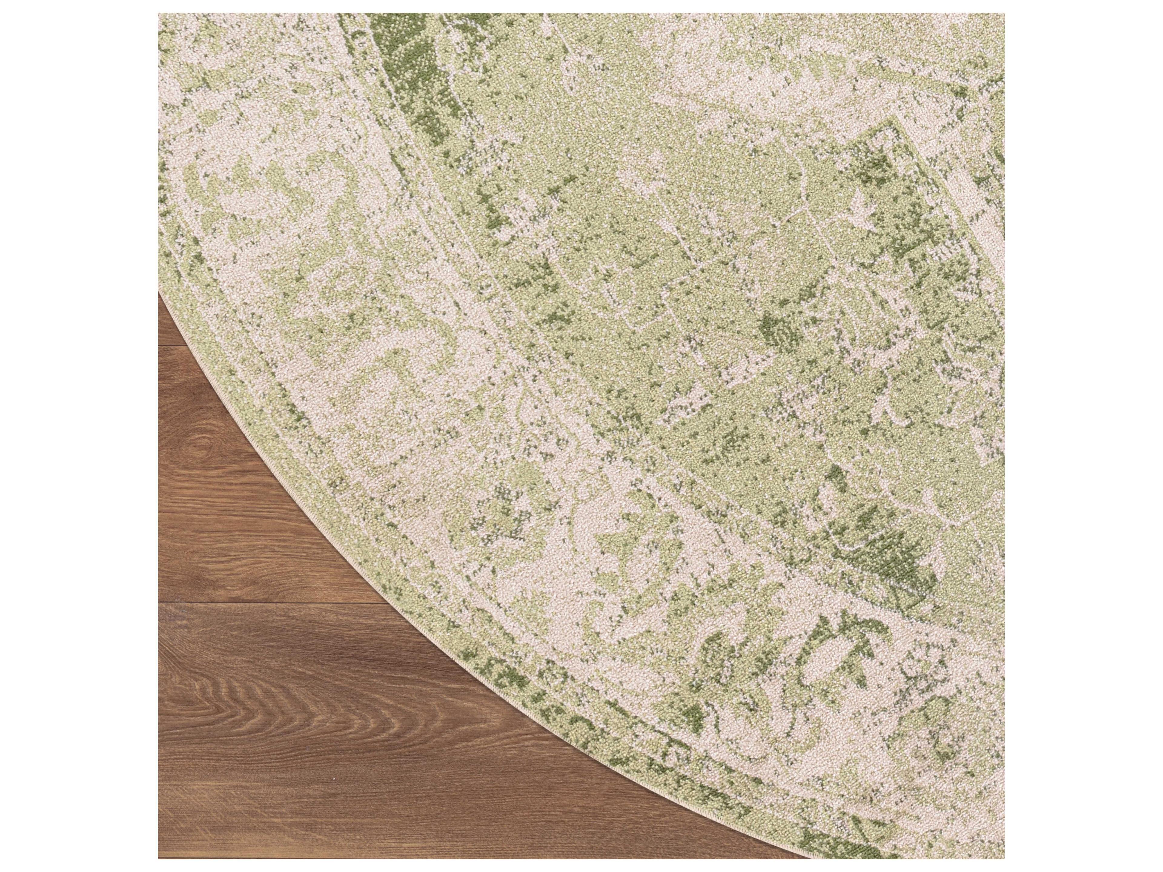 Nourison Astra Machine Washable Bordered Area Rug