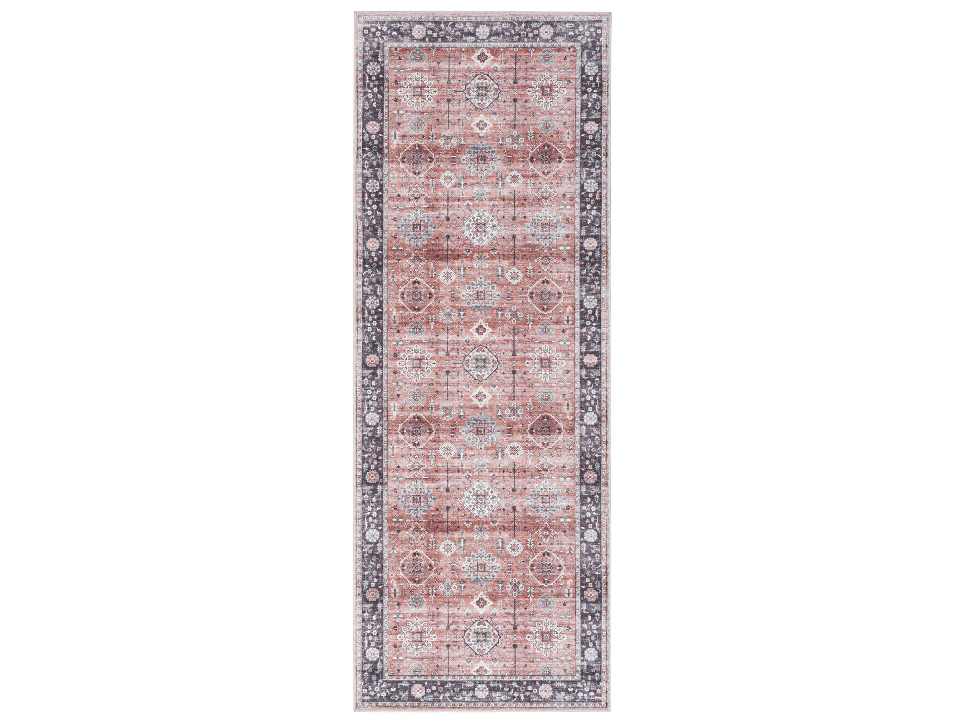 Fulton Bordered Runner Area Rug