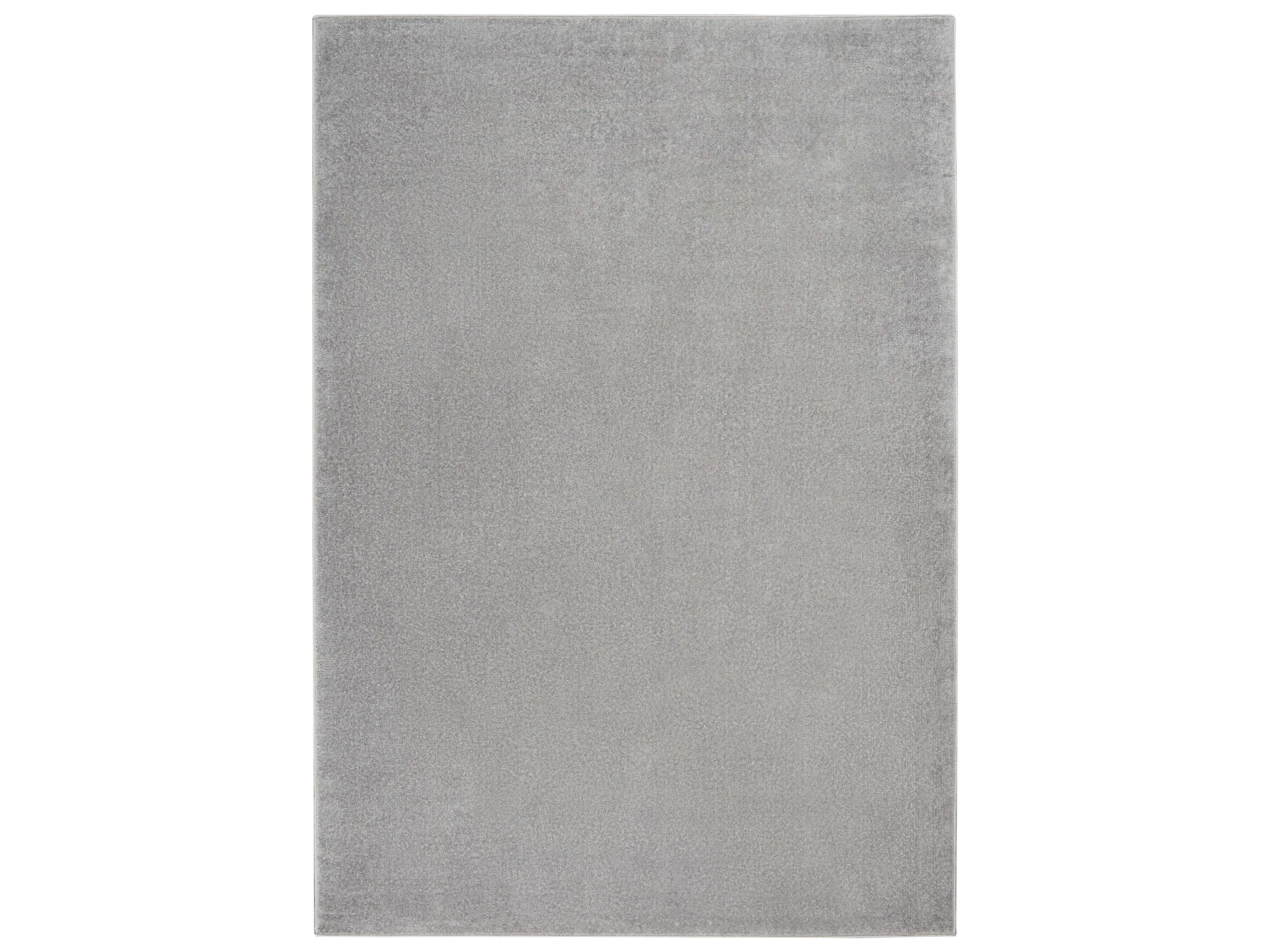 Essentials Indoor Outdoor Area Rug Silver Grey Solid