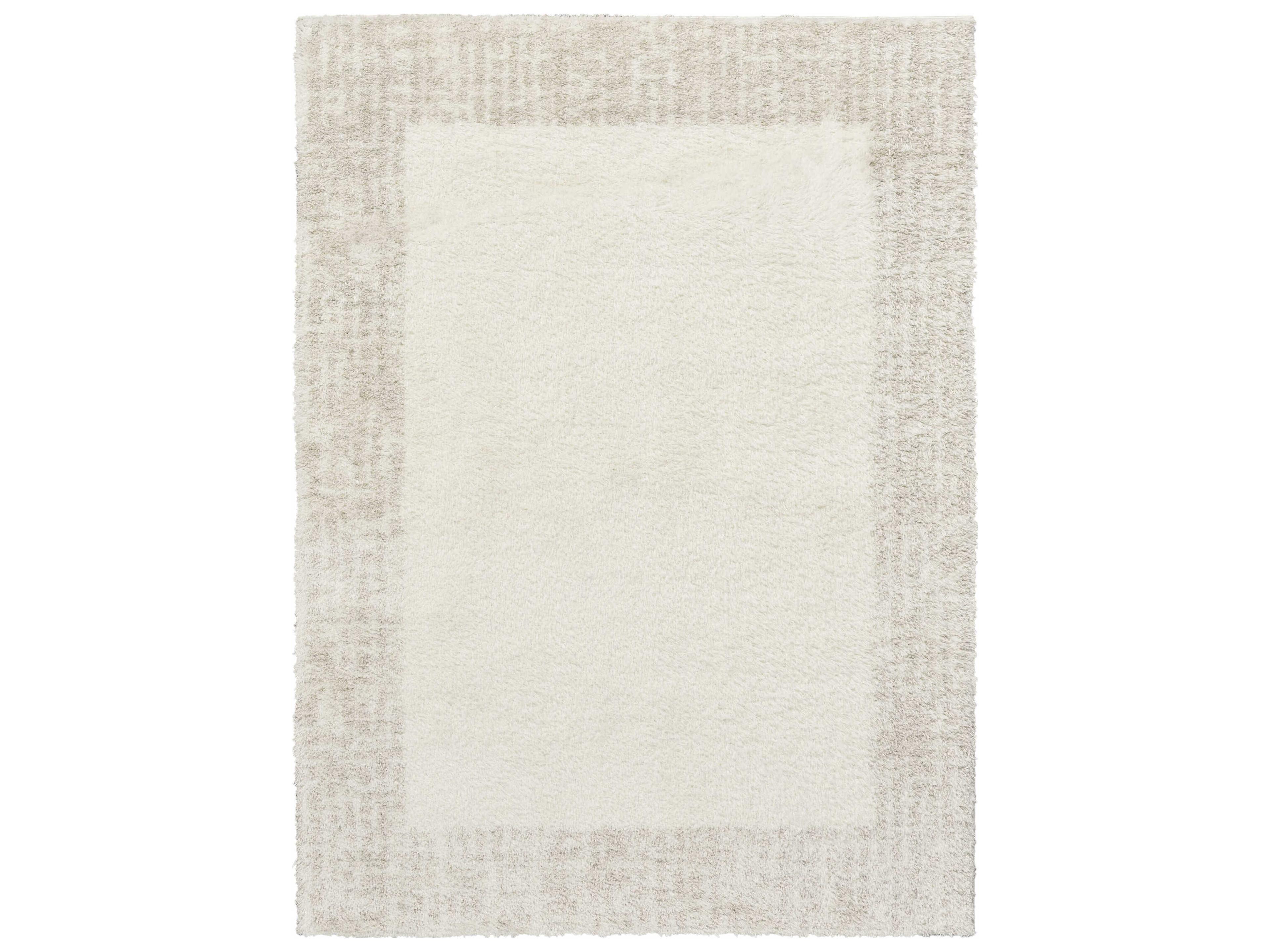 Pacific Shag Bordered Area Rug