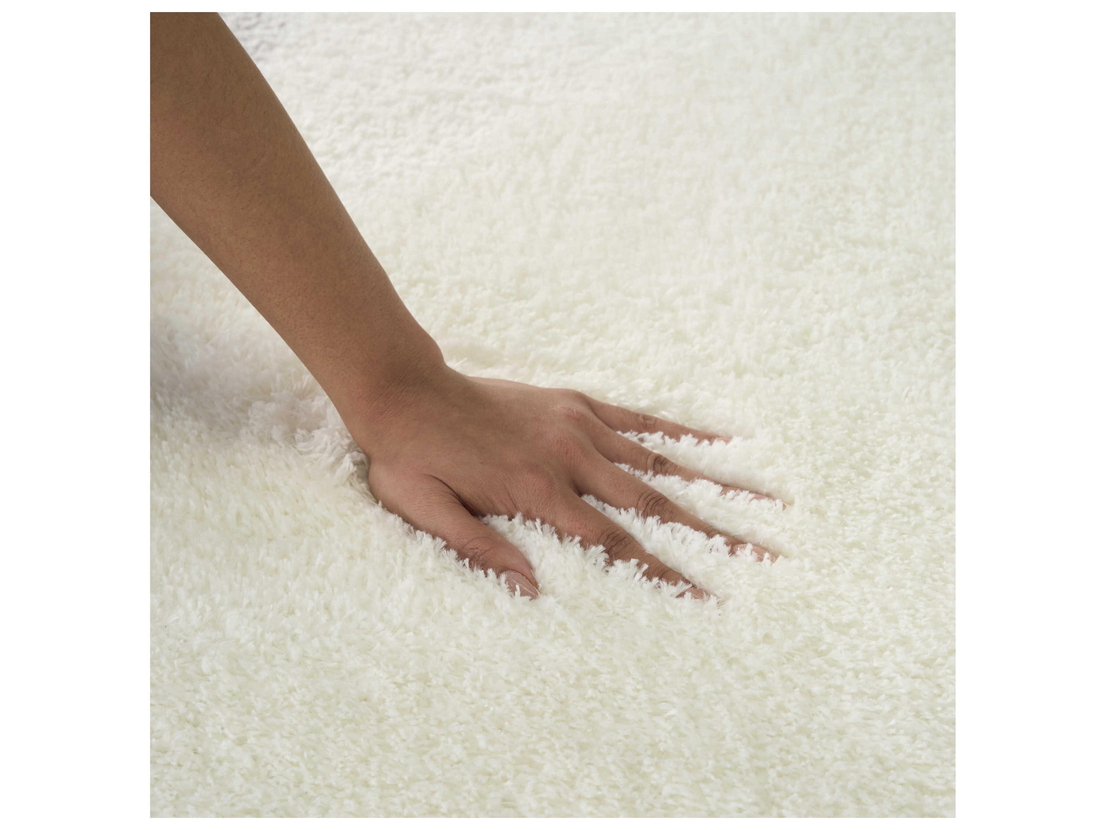 Nourison Pacific Shag Bordered Area Rug