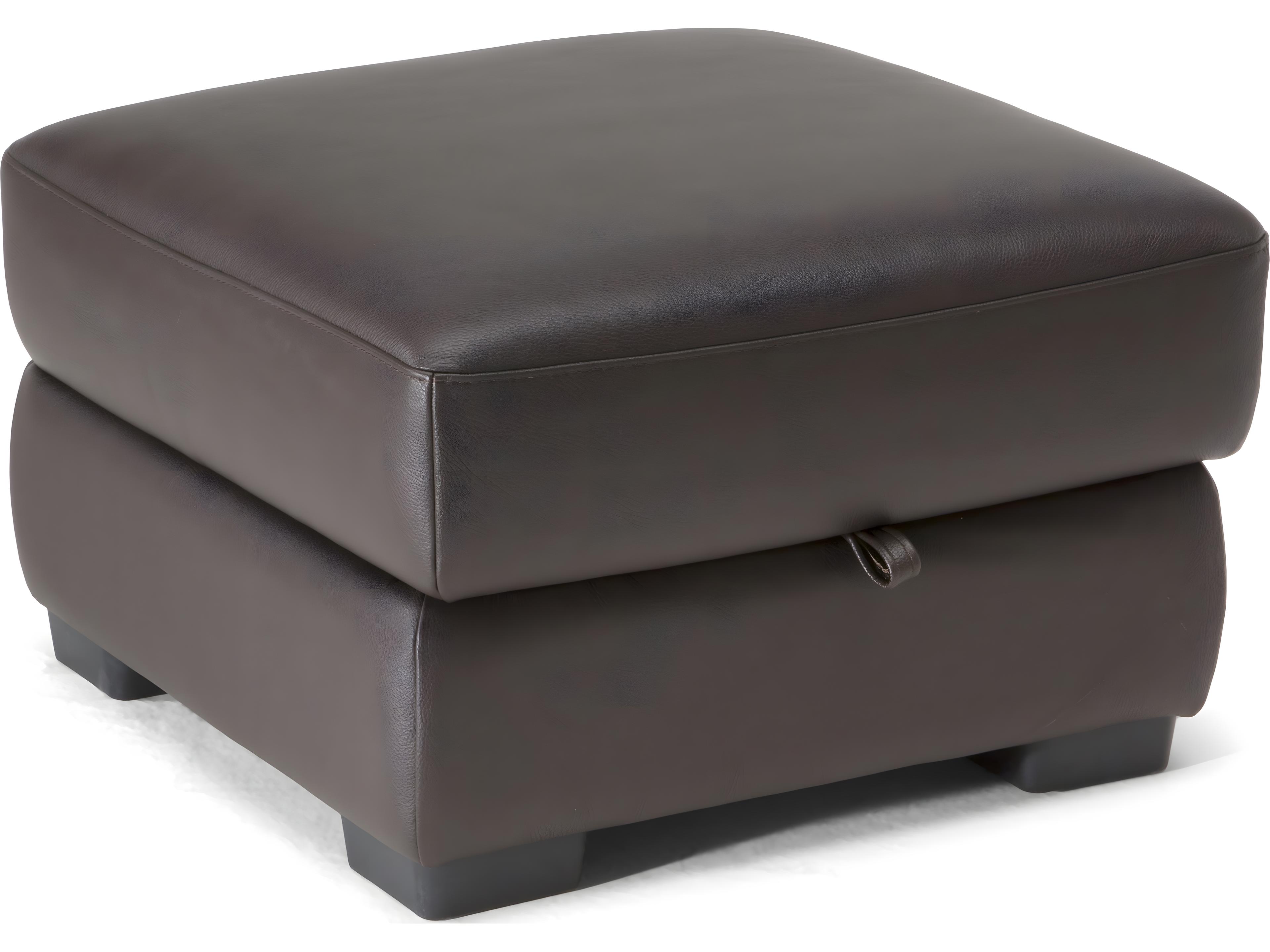 Gaia Storage Ottoman with Piston and Castor