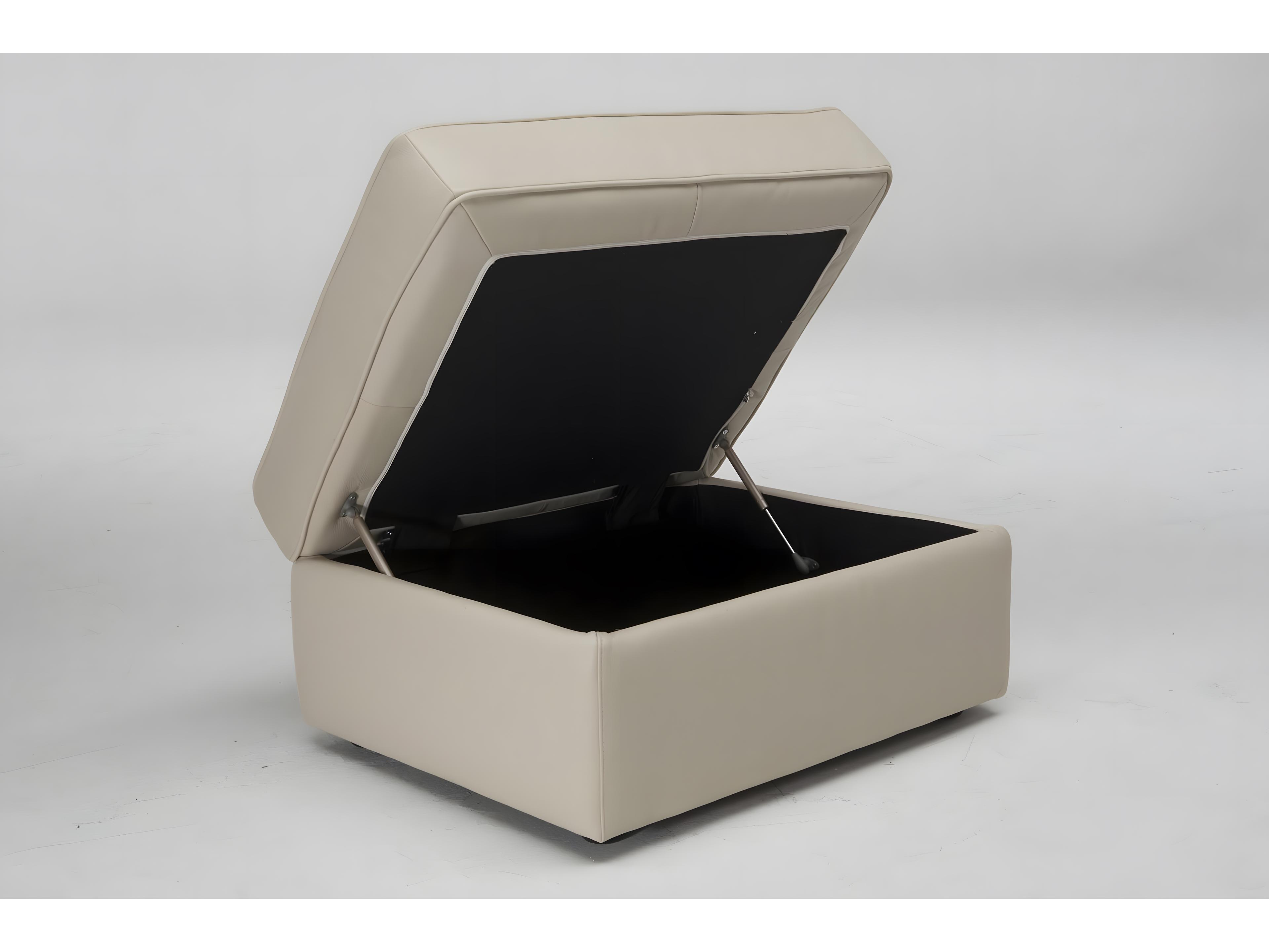 Natuzzi Editions Gaia Storage Ottoman