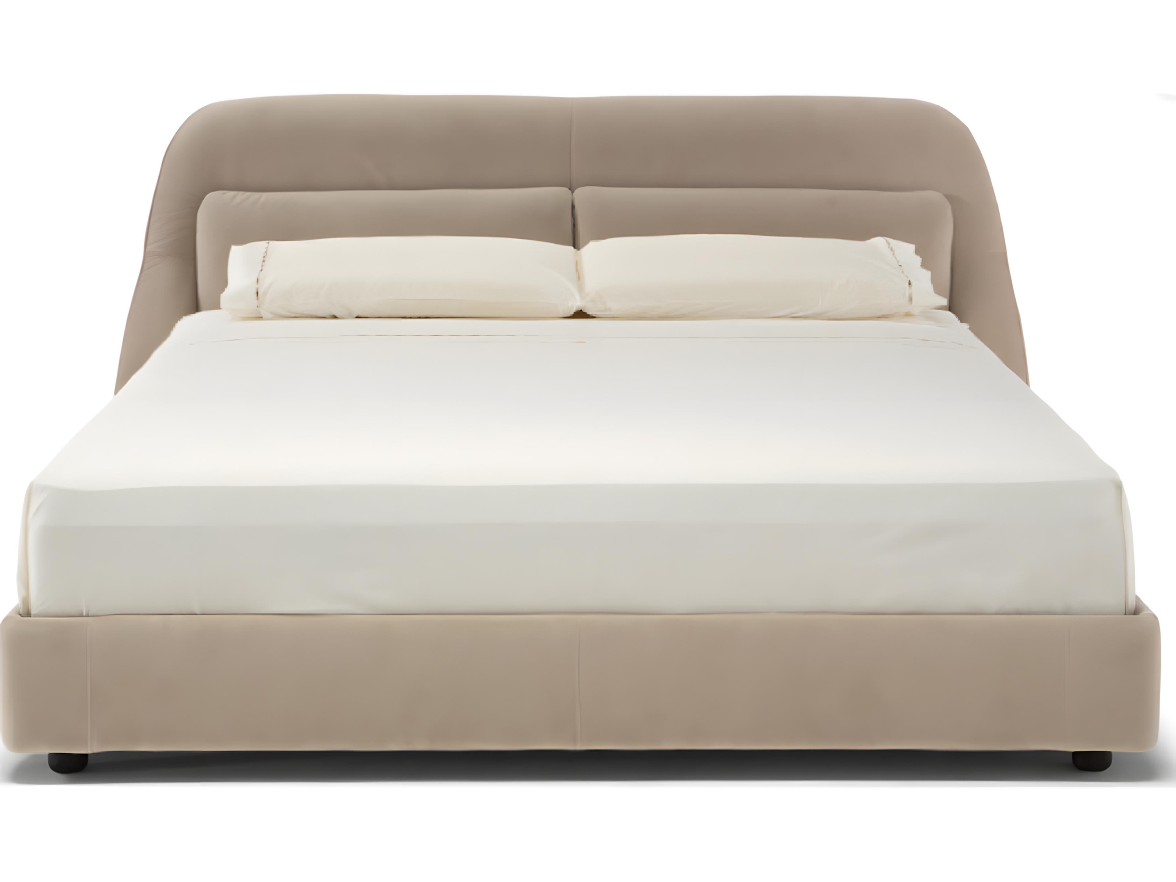 Natuzzi Editions Parigi Queen Storage Bed with Split Mesh