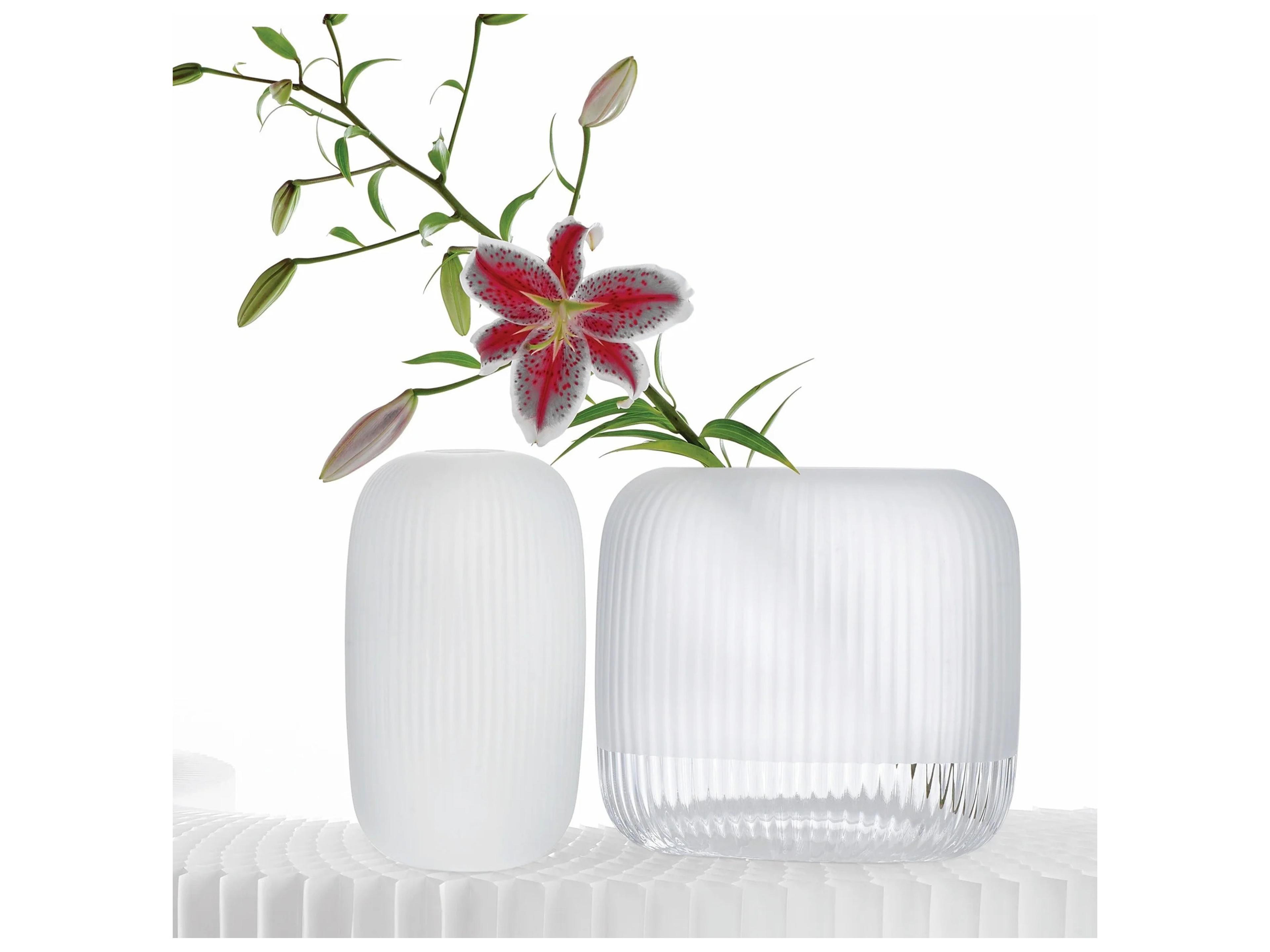 NUDE Omnia Clear Bey Half Vase