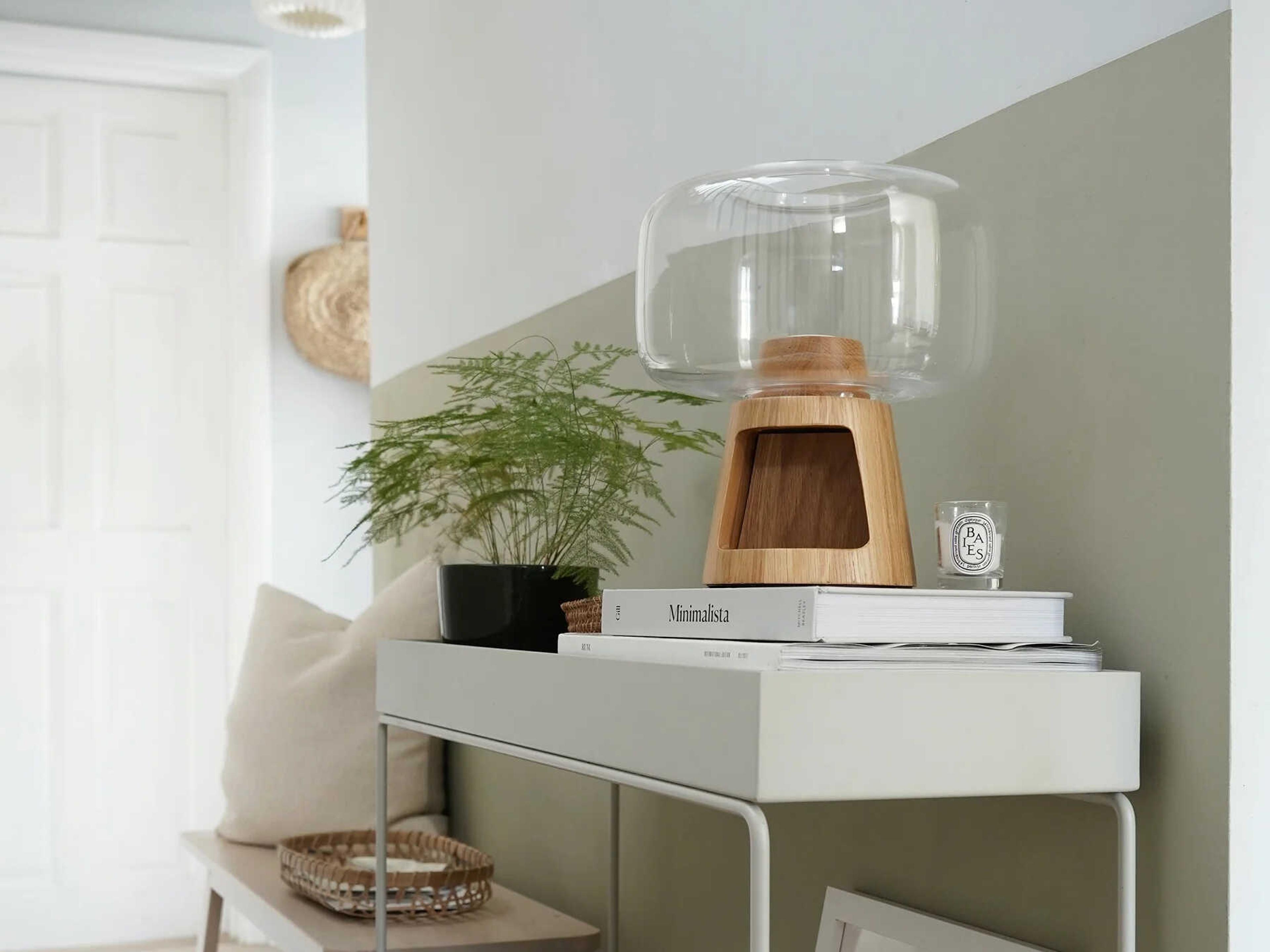 NUDE Tree Oak Clear Glass Brown Table Lamp