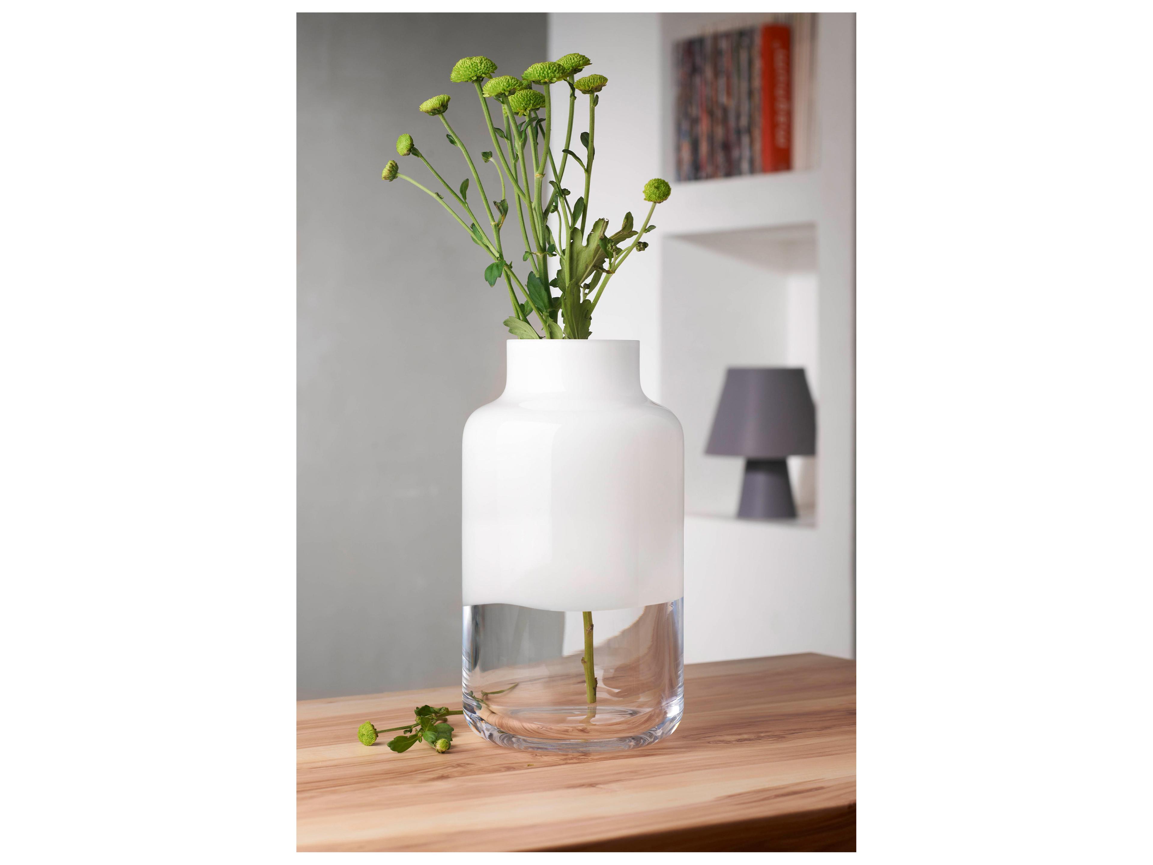 NUDE Magnolia Opal White Clear Vase