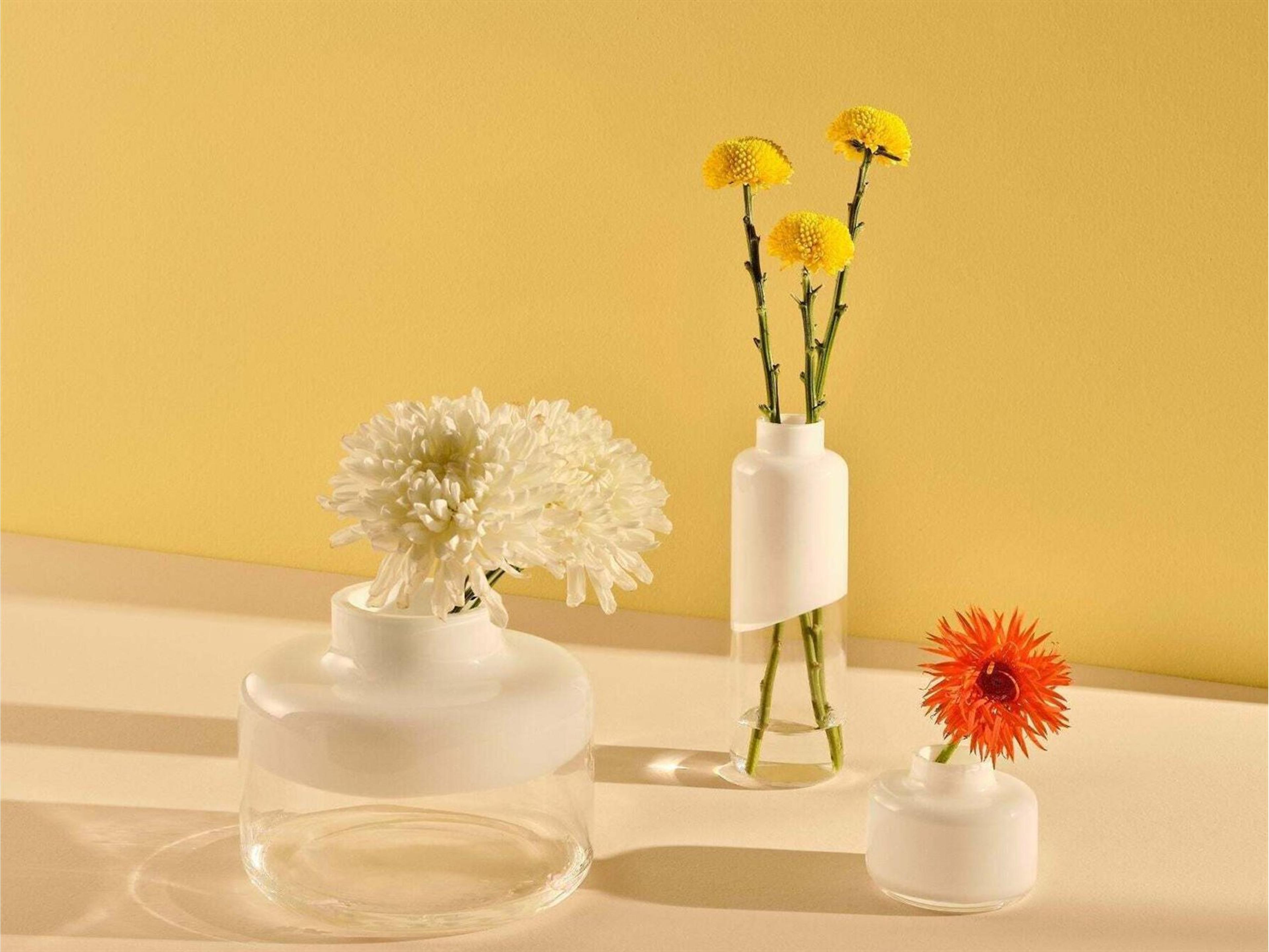 NUDE Magnolia Opal White Clear Vase