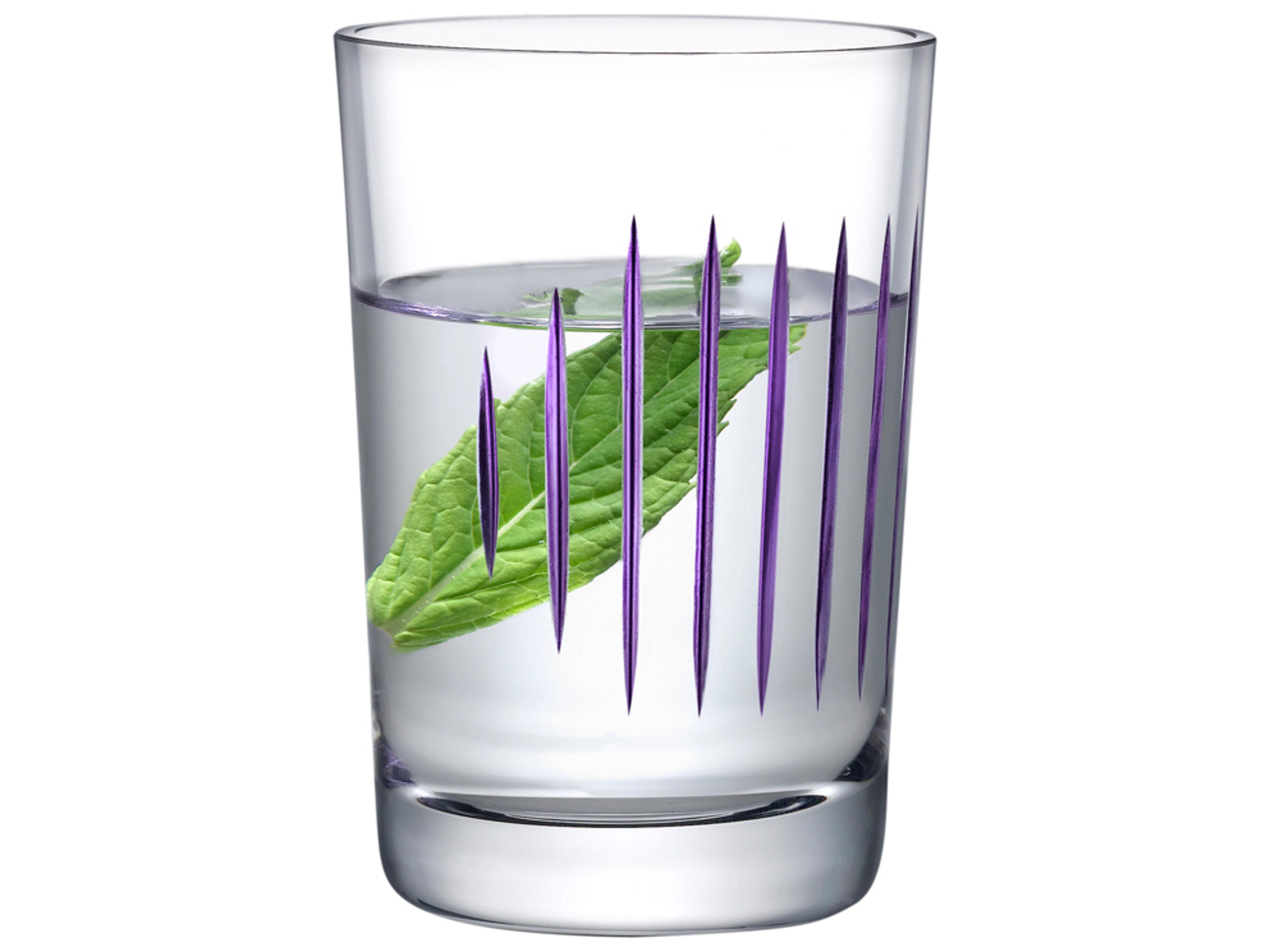 NUDE Parrot Clear Purple Line Water Glass Set of 2