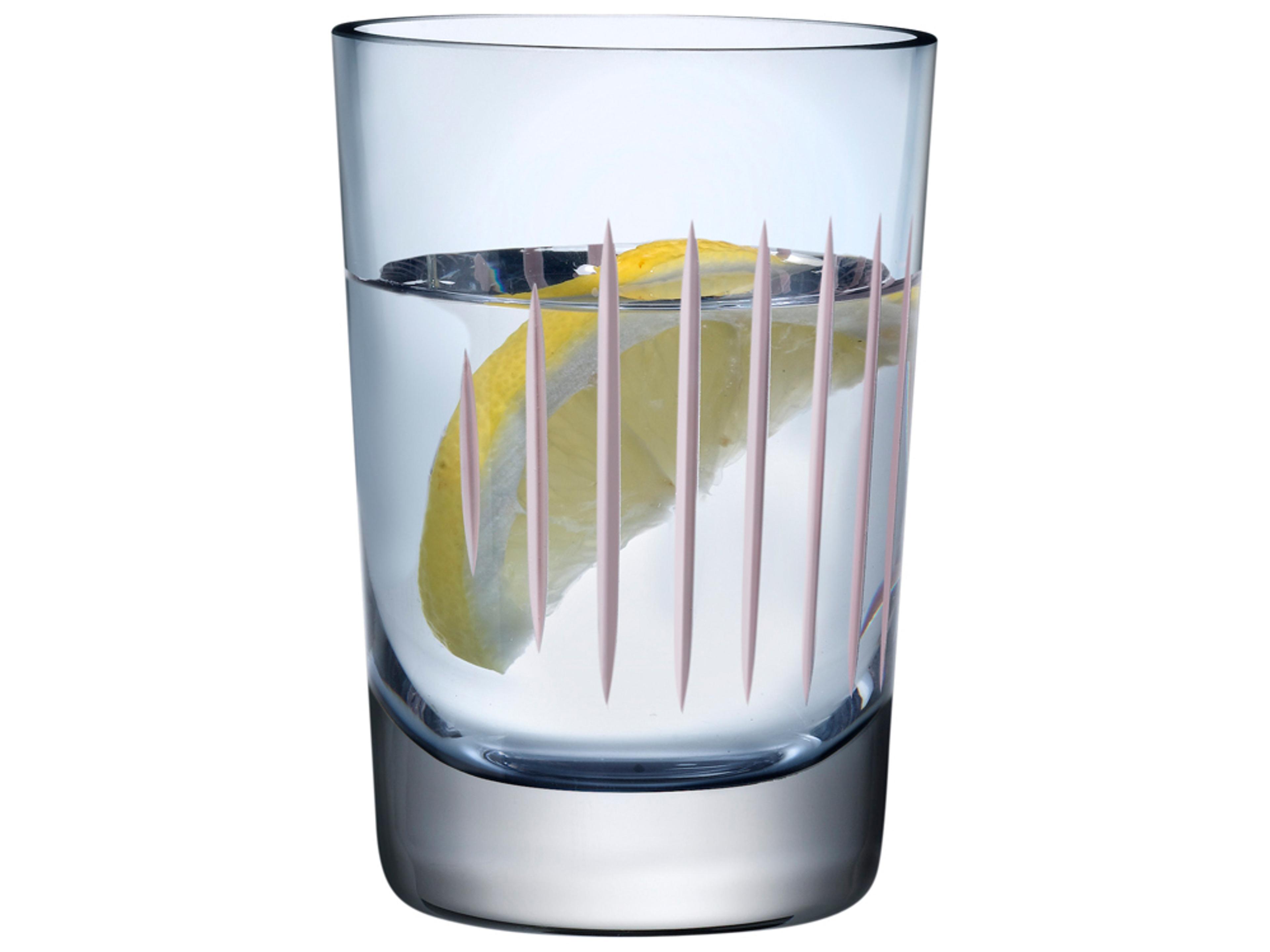 Parrot Steel Blue and Pink Line Tumbler Set of 2