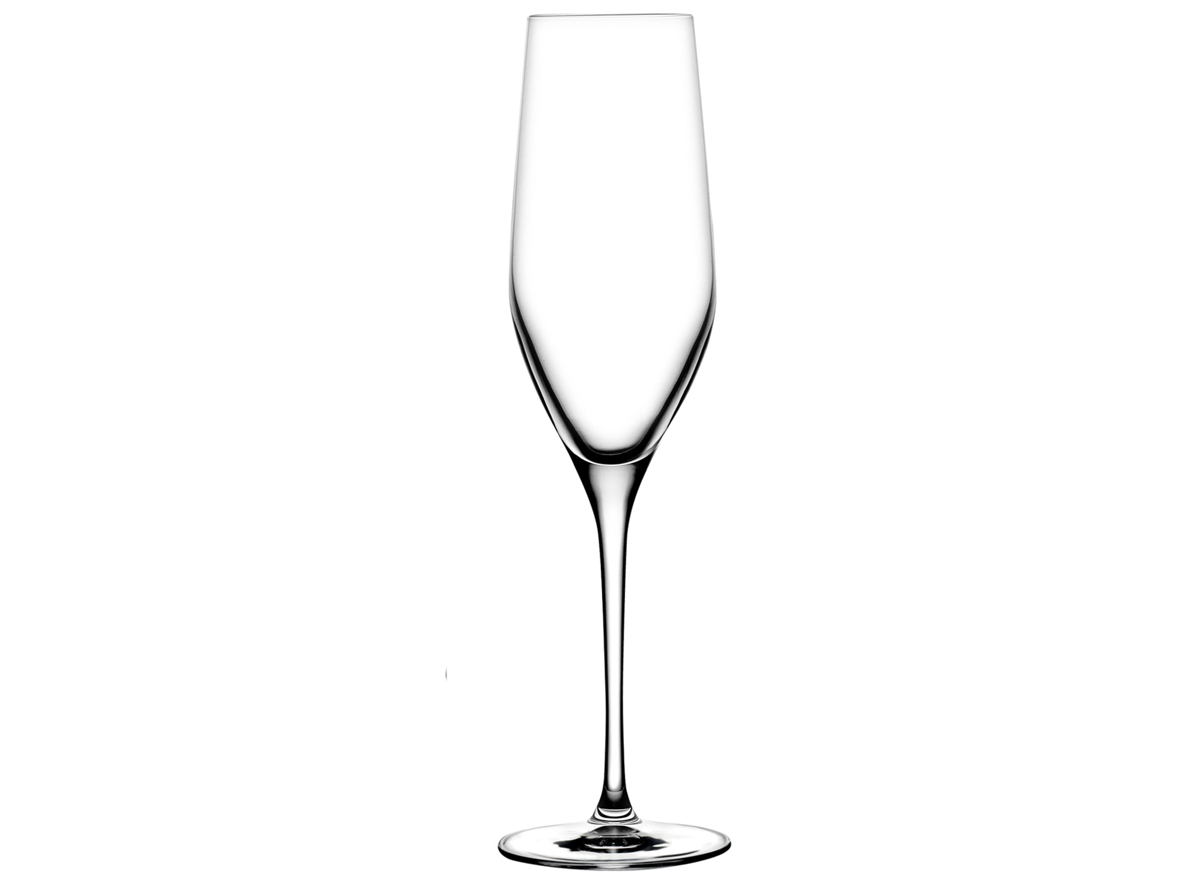 Vinifera Clear Champagne Glass Set of 2