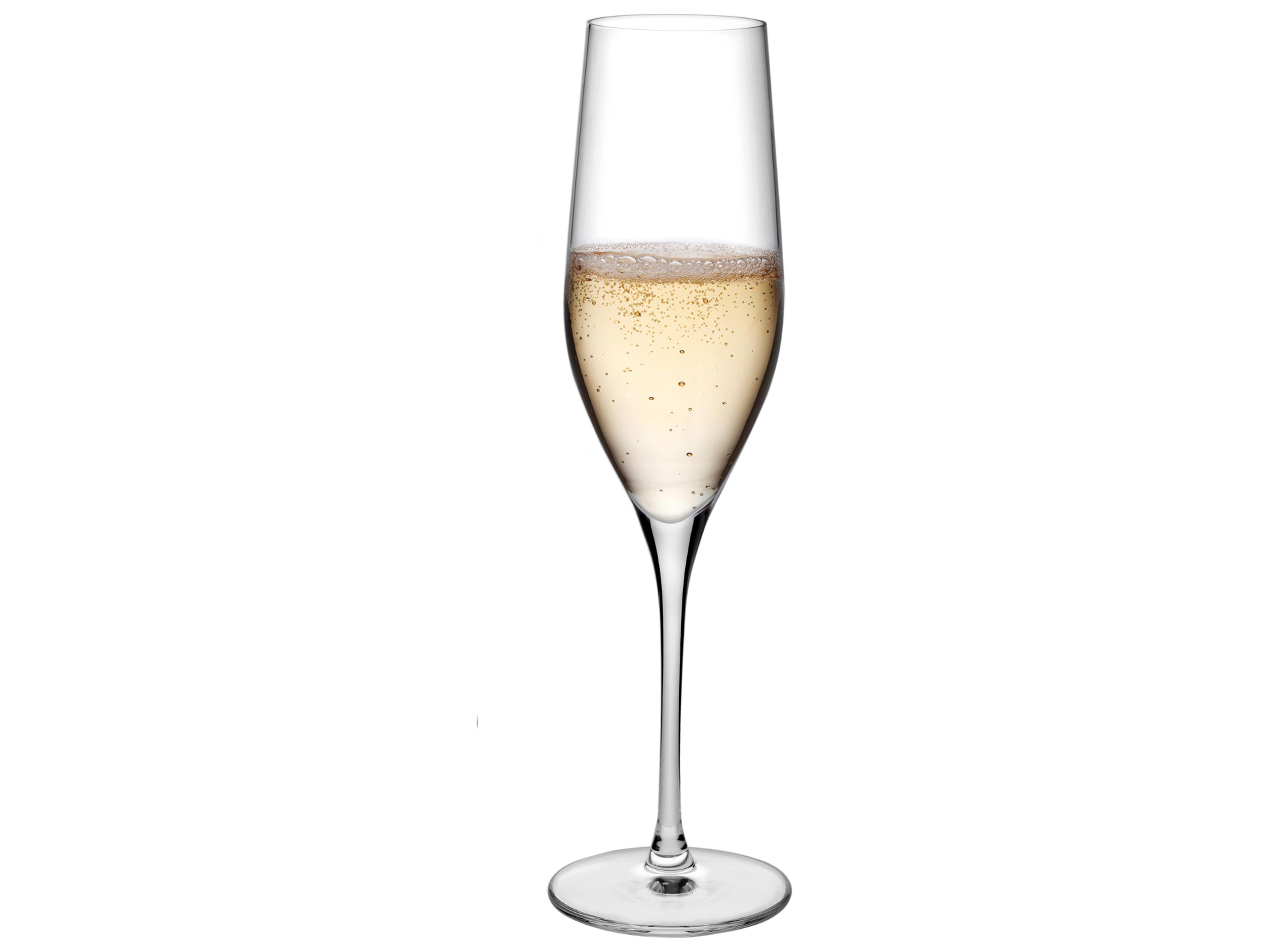 NUDE Vinifera Clear Champagne Glass Set of 2