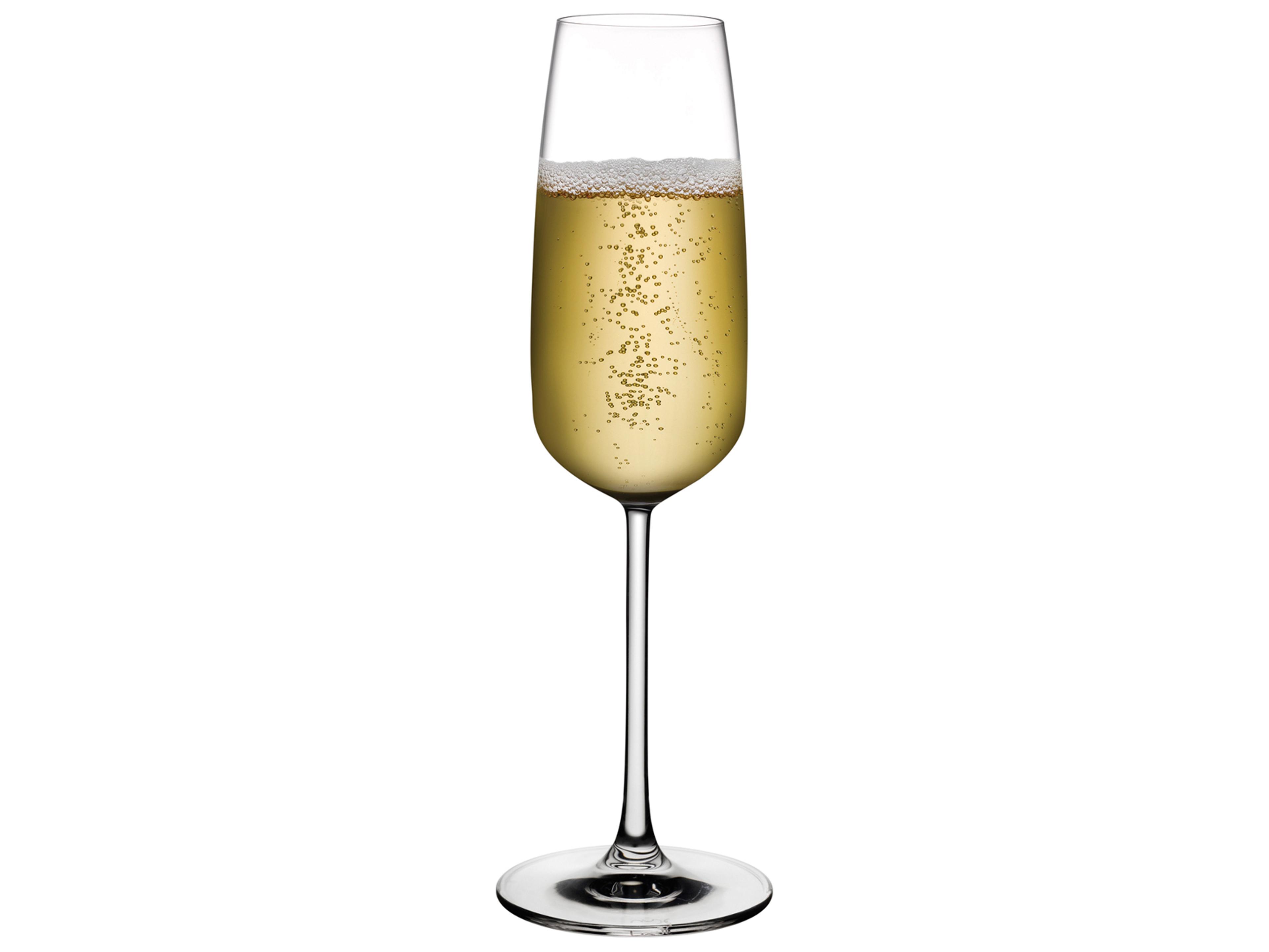 NUDE Mirage Clear Champagne Glass Set of 2