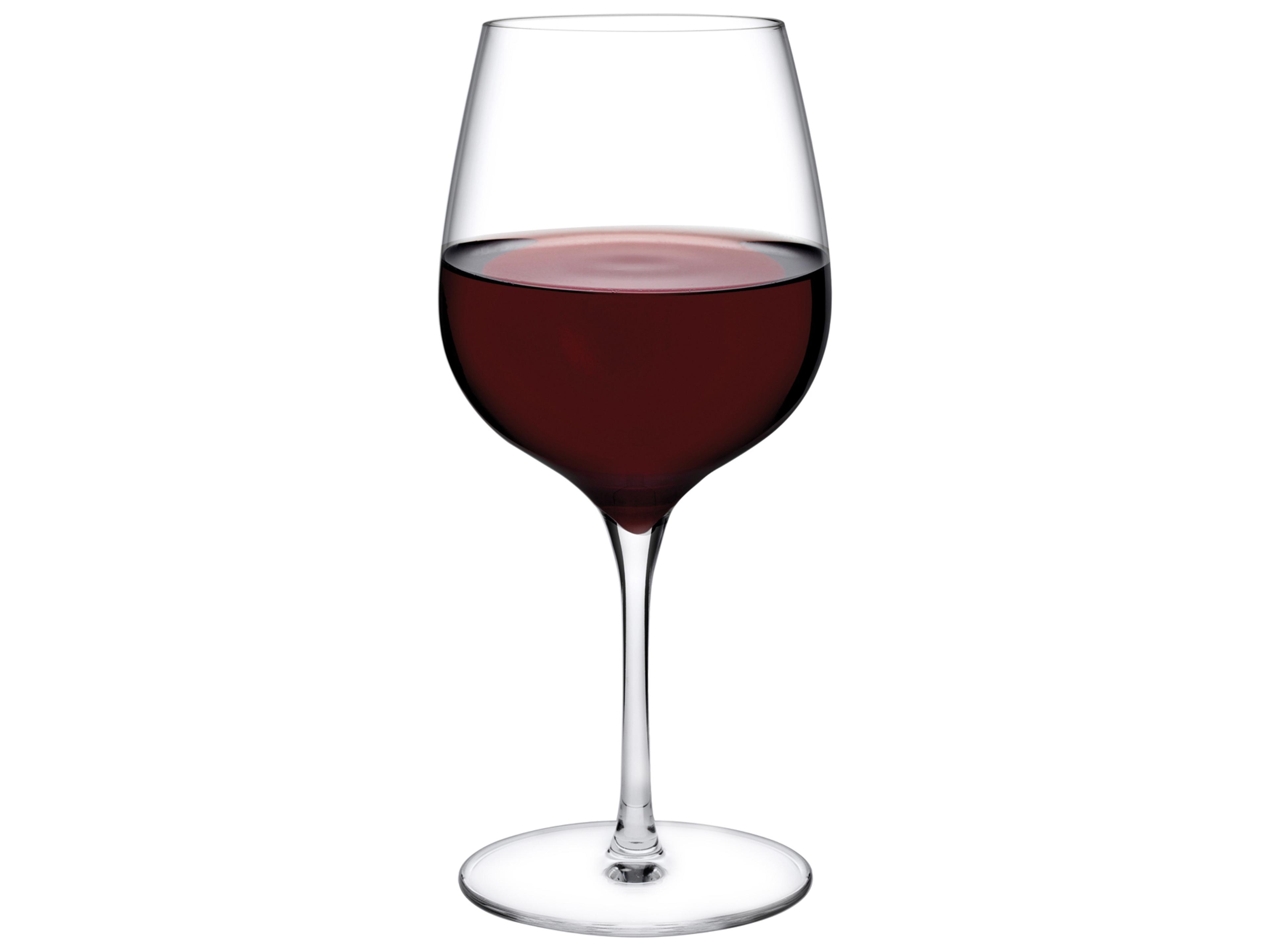 NUDE Terroir Clear Red Wine Glass Set of 2