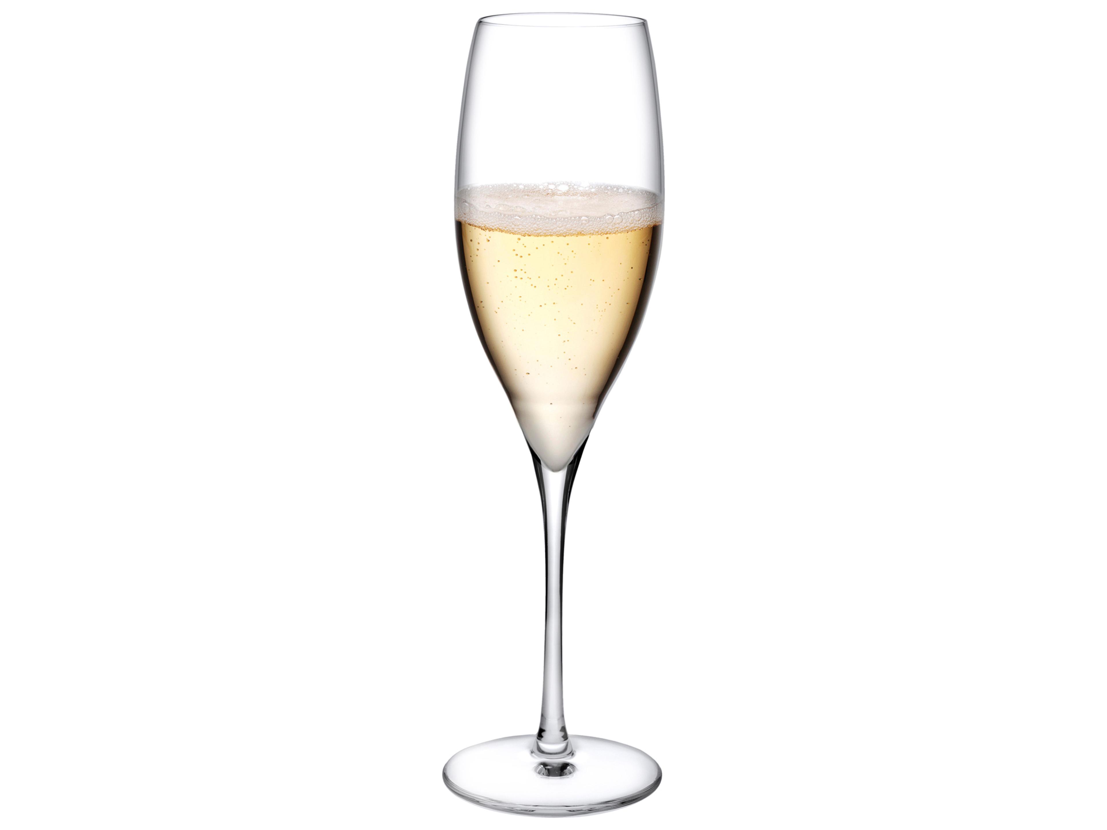 NUDE Terroir Clear Champagne Glass Set of 2