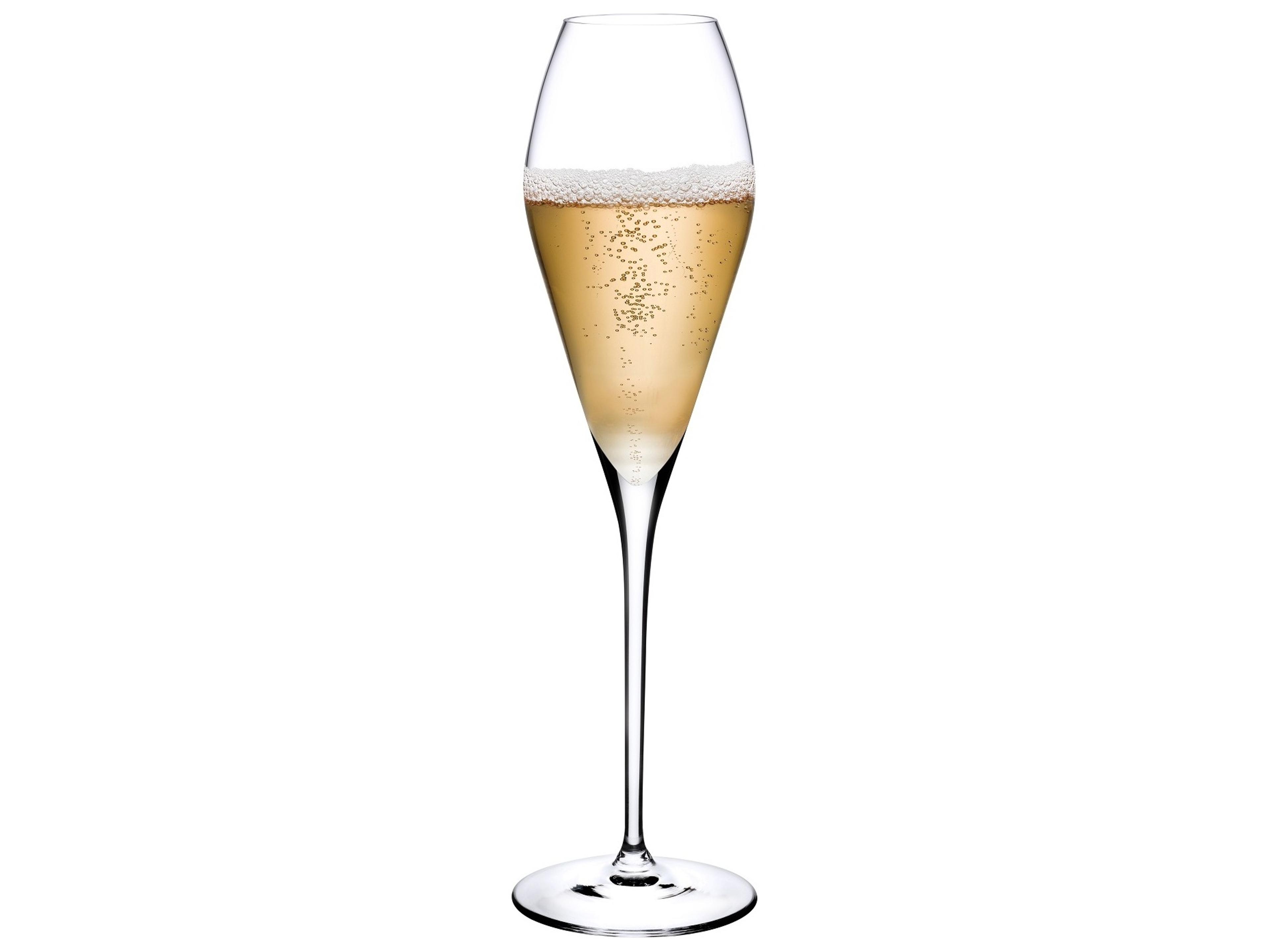NUDE Fantasy Clear Champagne Glass Set of 2