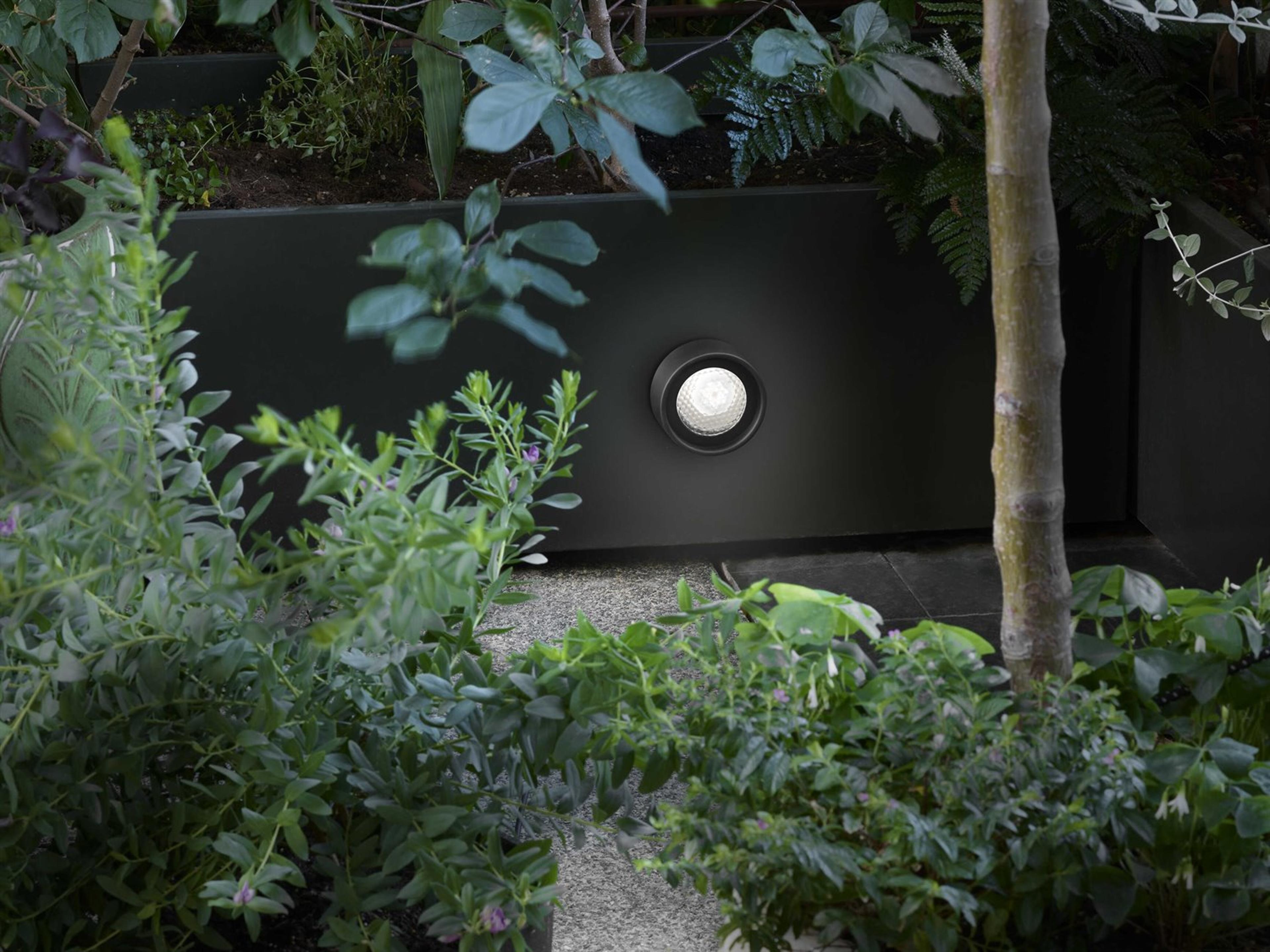 Oluce Berlin 1-Light Outdoor Wall Light
