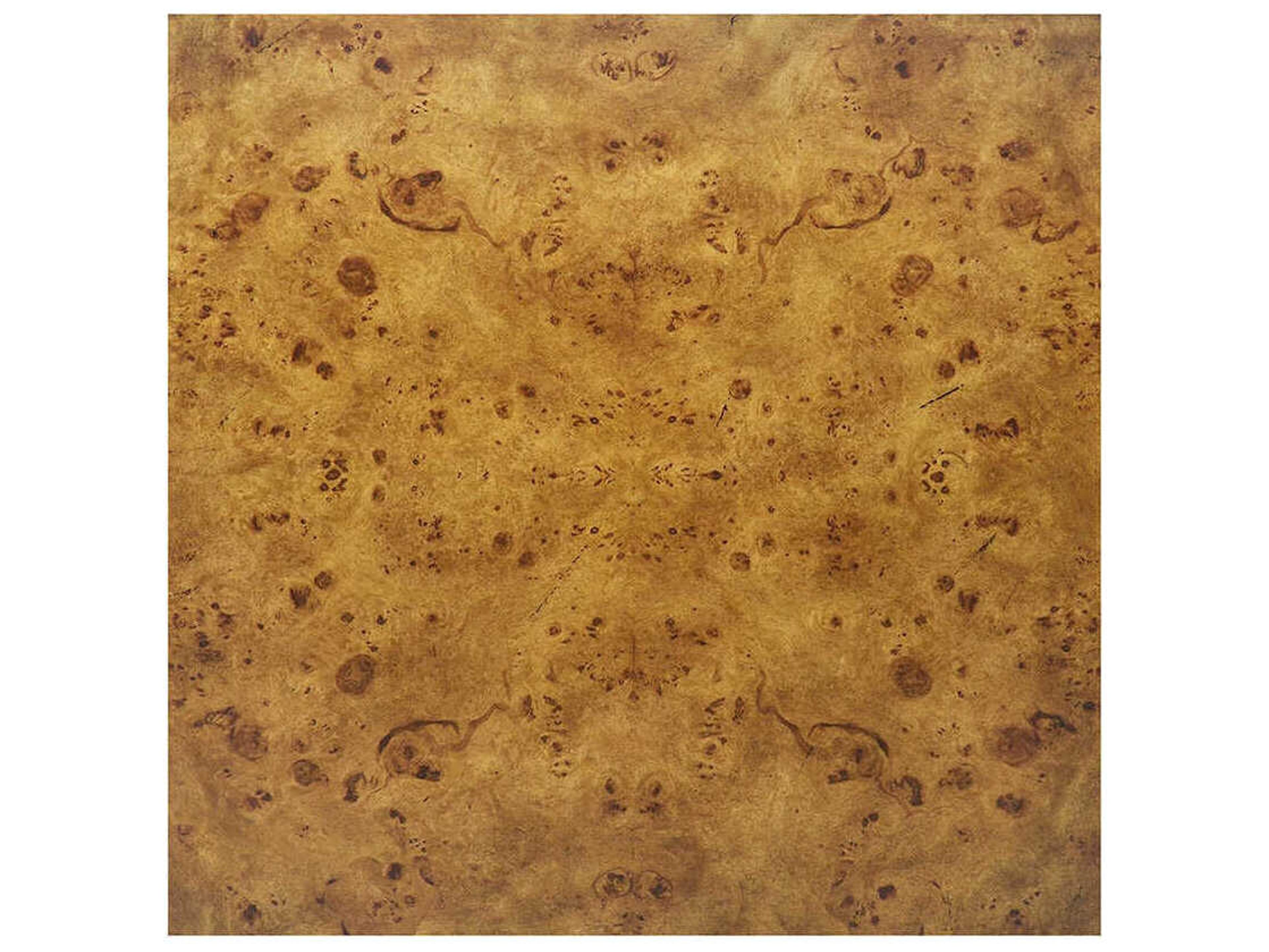 Oliver Home Arch Square Wood Rustic Burl End Table