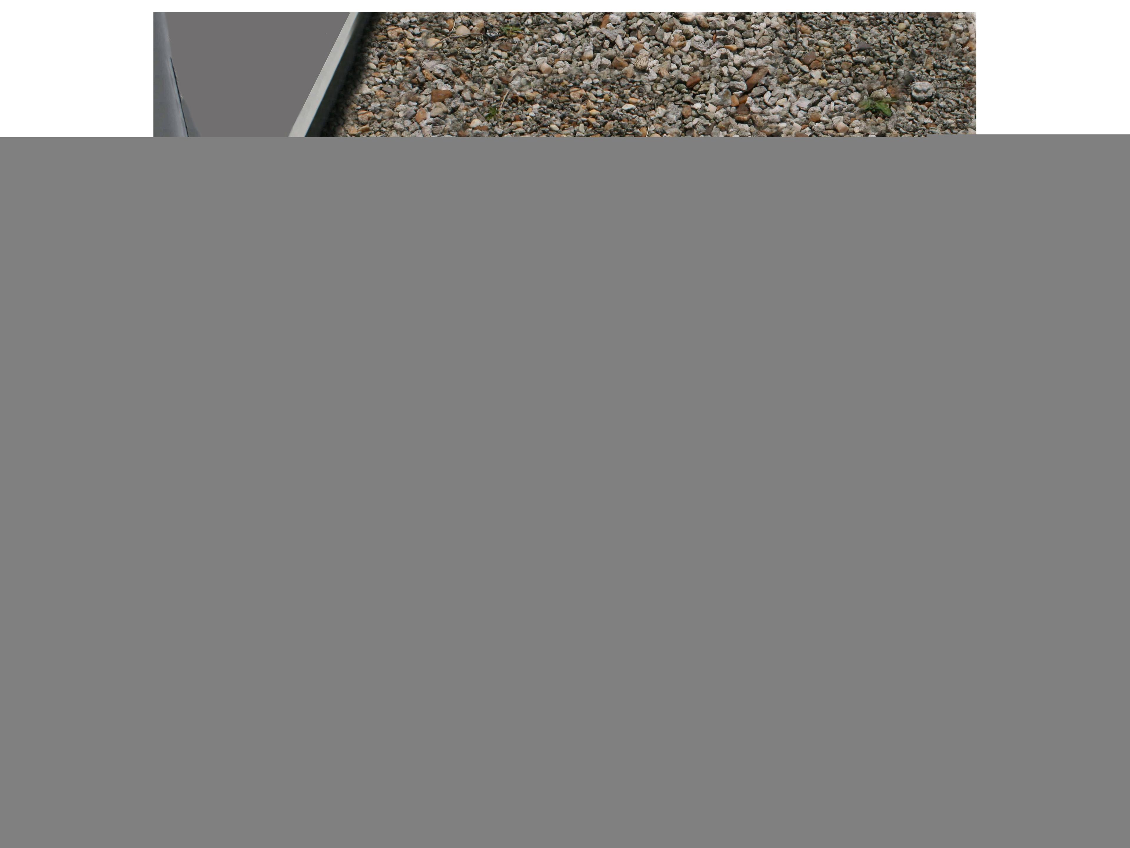 Oakland Living Silver Lion Cast Aluminum Downspout Gutter 24'' Splash Block