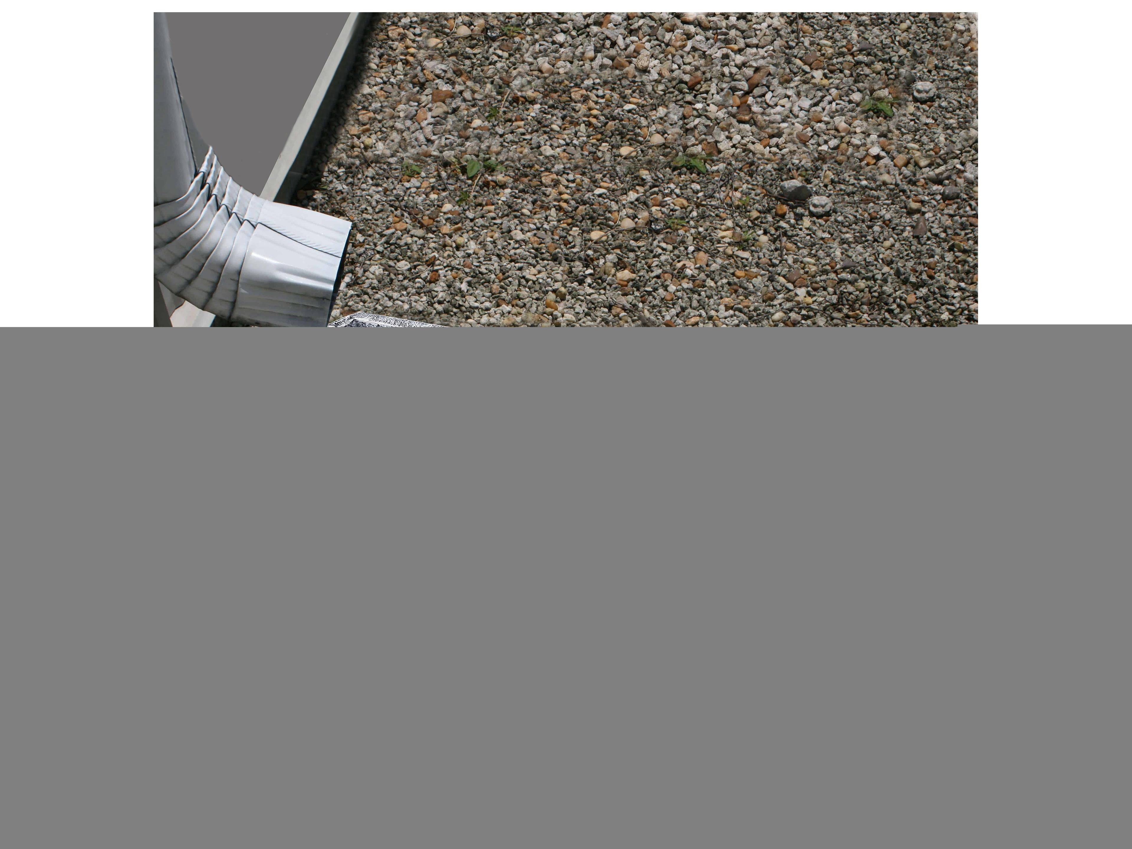 Oakland Living White Lion Cast Aluminum Downspout Gutter 24'' Splash Block