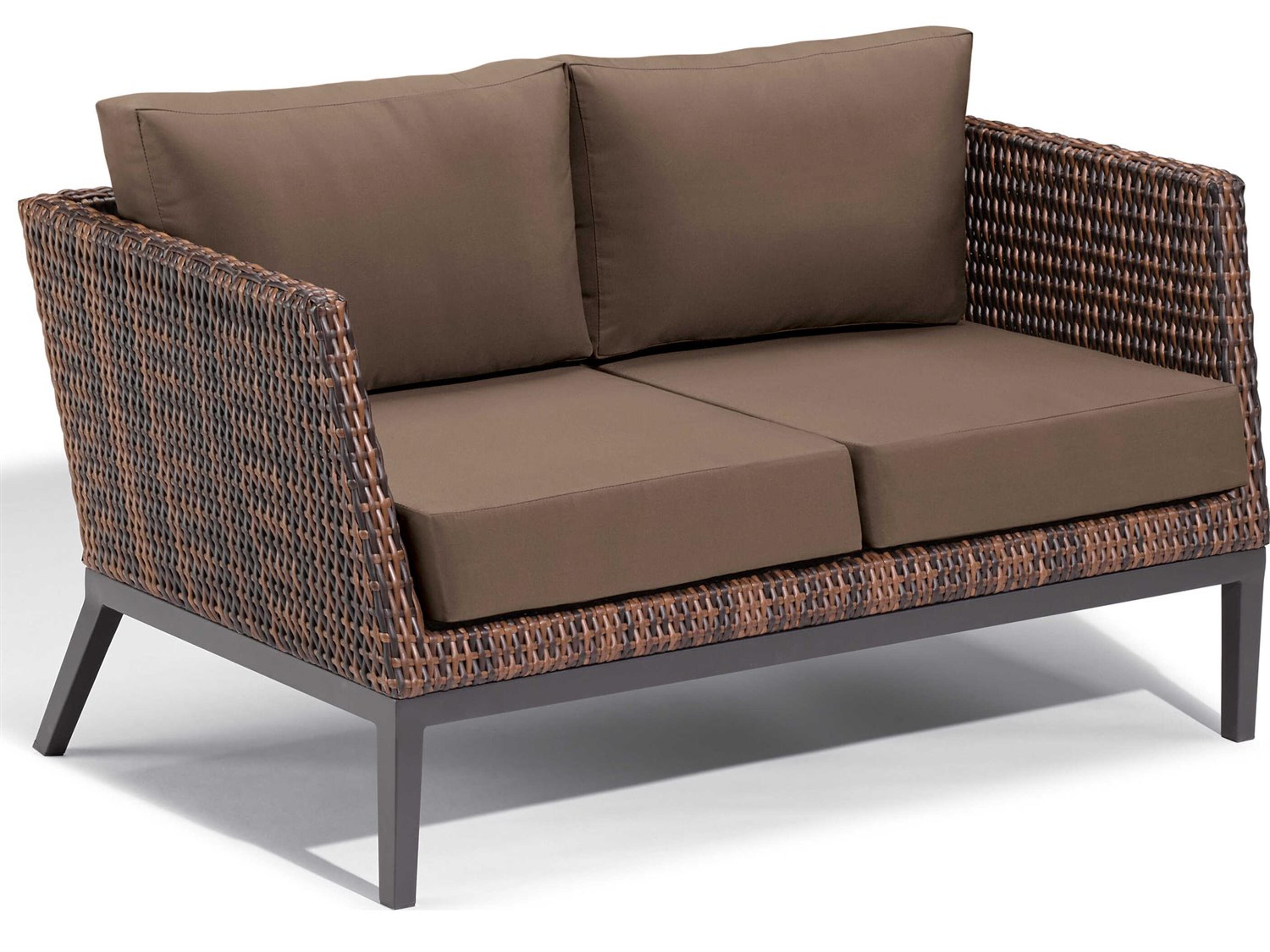 Salino Carbon Sable Toast Aluminum Cushion Loveseat