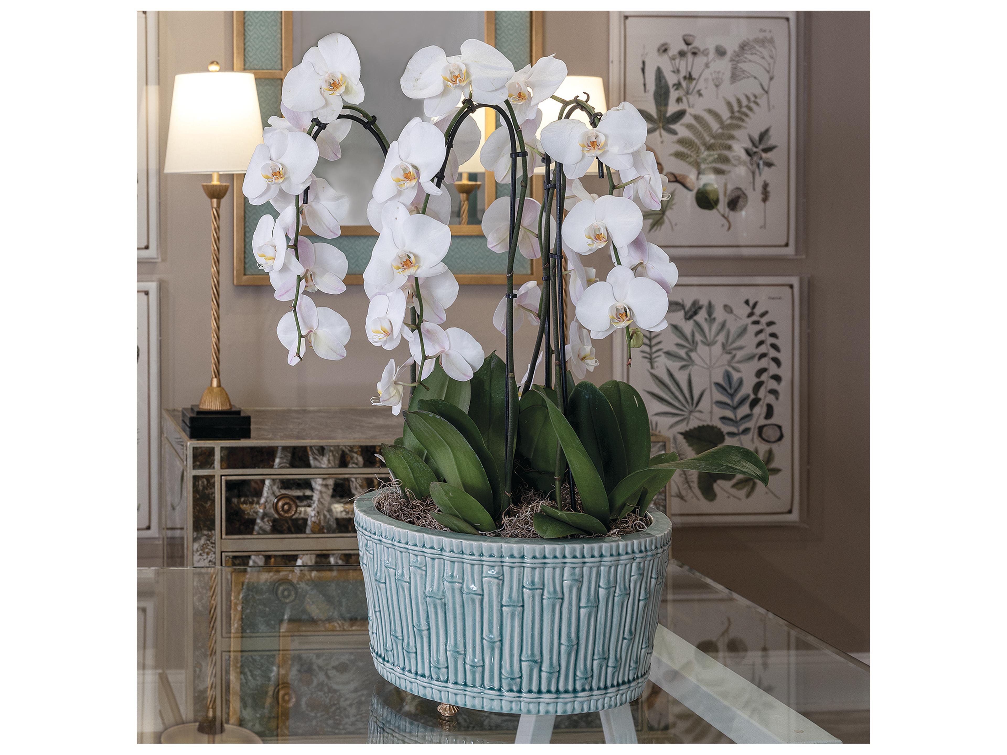 Port 68 Bamboo Garden  Celadon Center Basin