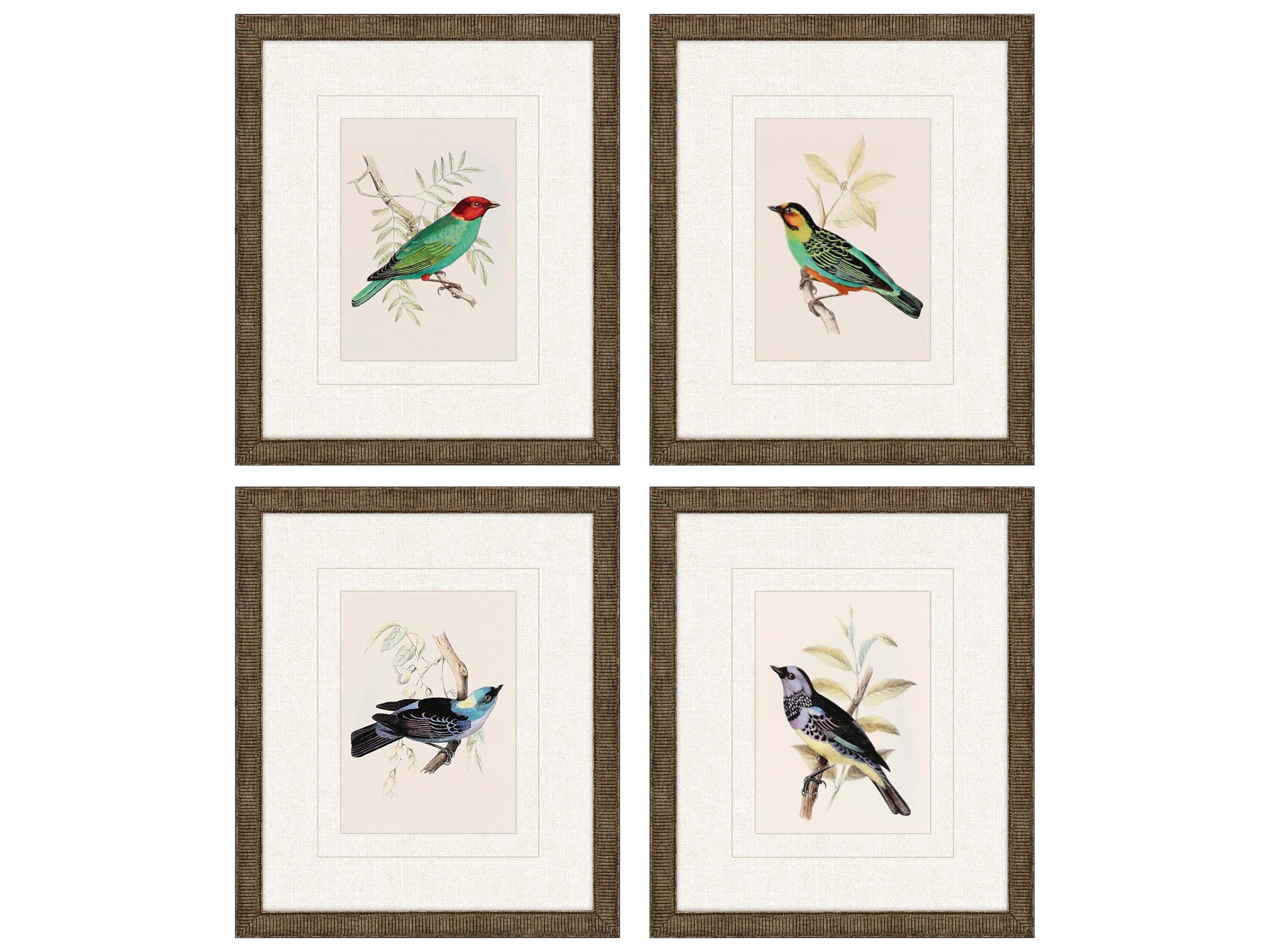 Paragon Animals On Perch-II Wall Art Set of 4