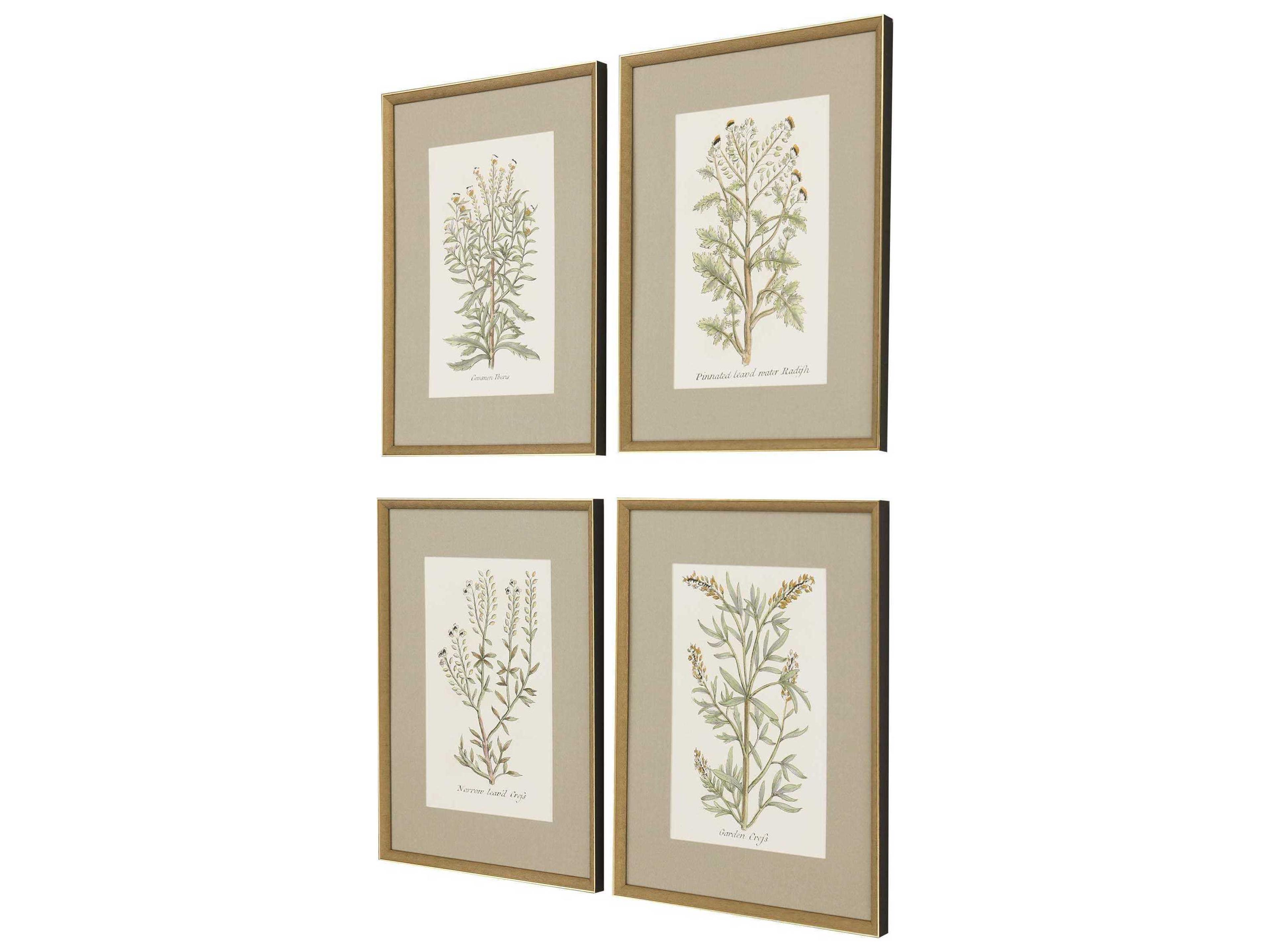 Paragon Botanical Plants Framed Prints Set of 4